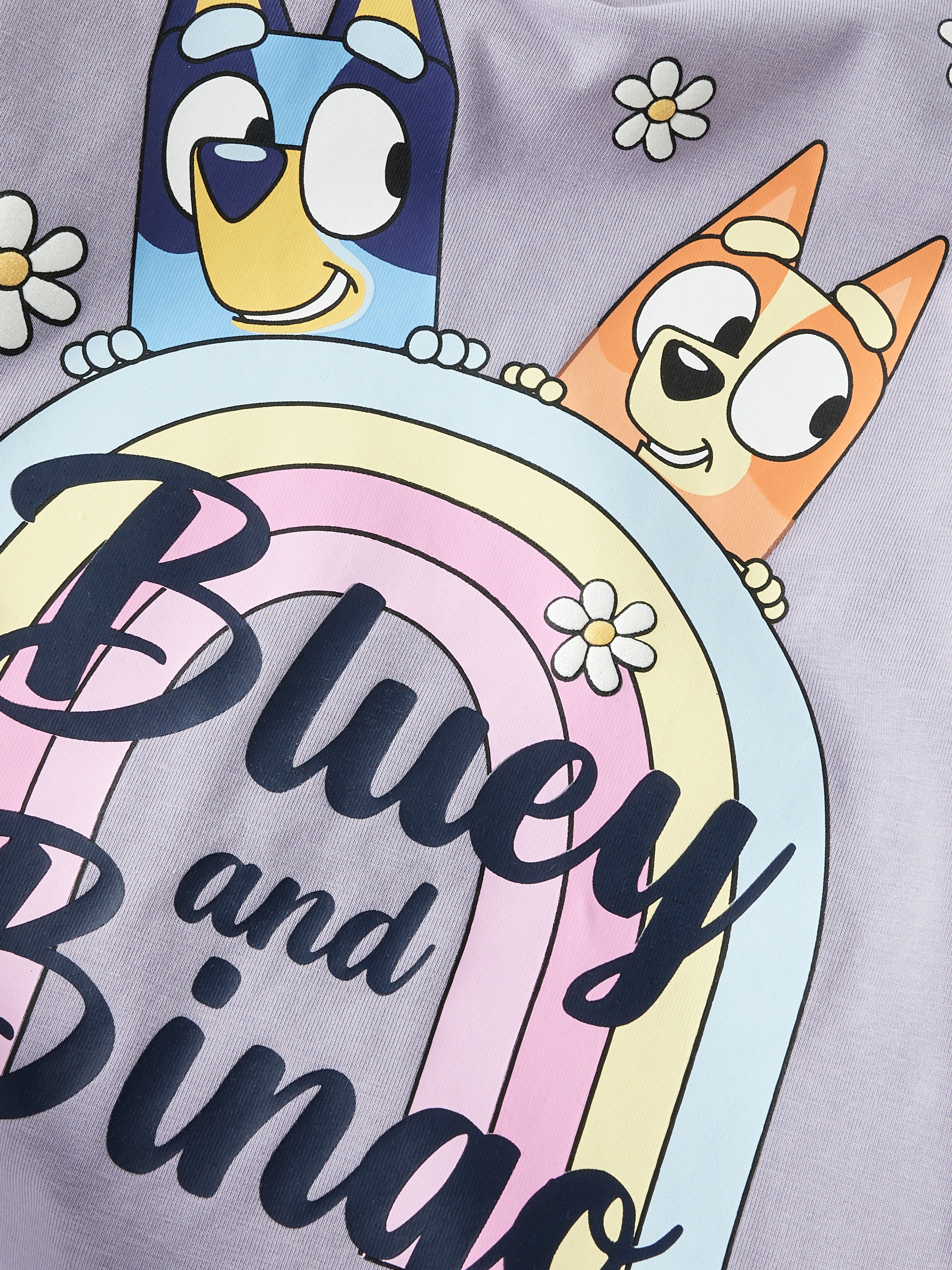 Name It Langarmshirt »NMFJESSIE BLUEY LS TOP BOX NOOS SKY«