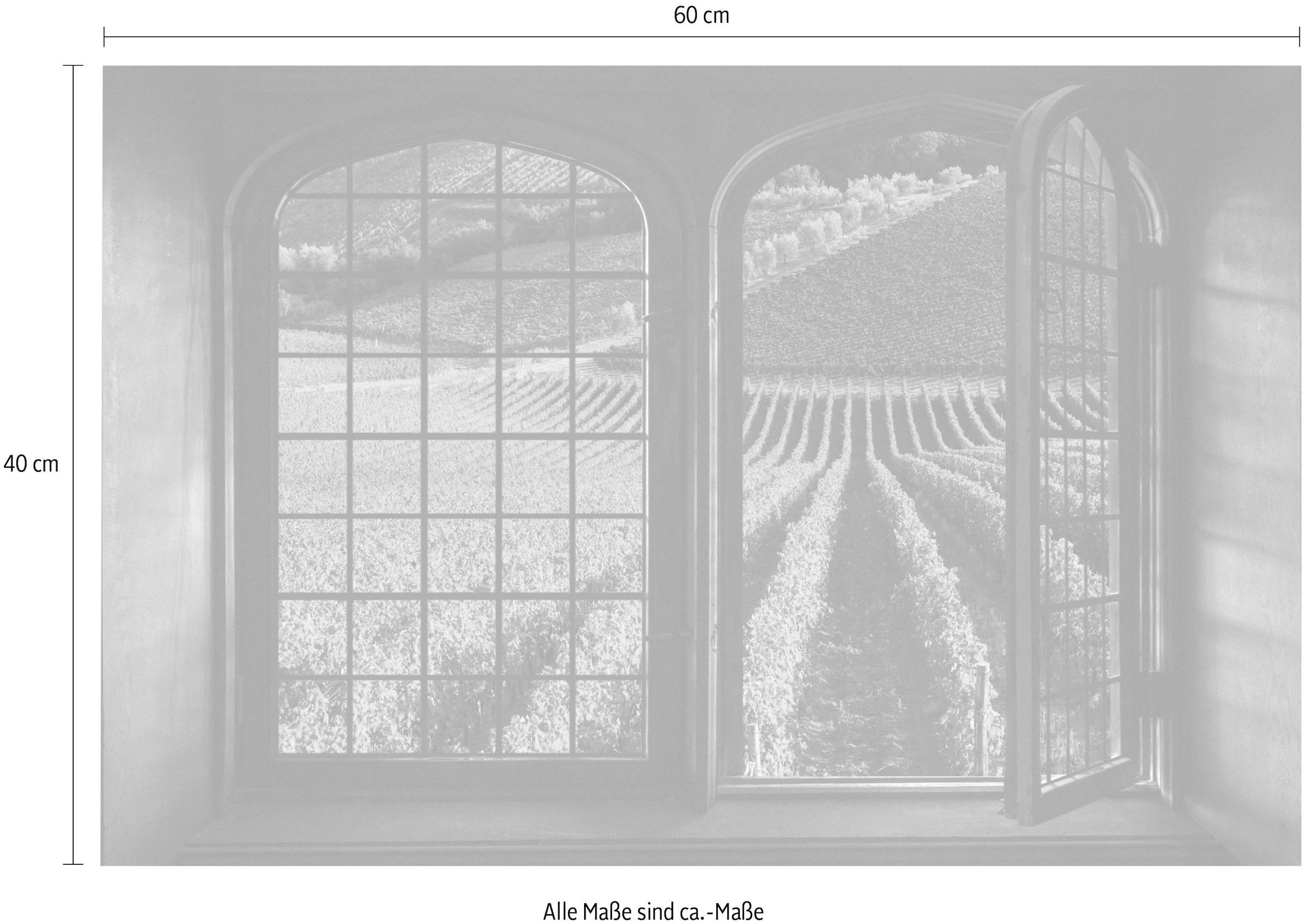 queence Wandsticker »Weinreben« Wandsticker, Wandbild, selbstklebend, 3D, Fenster