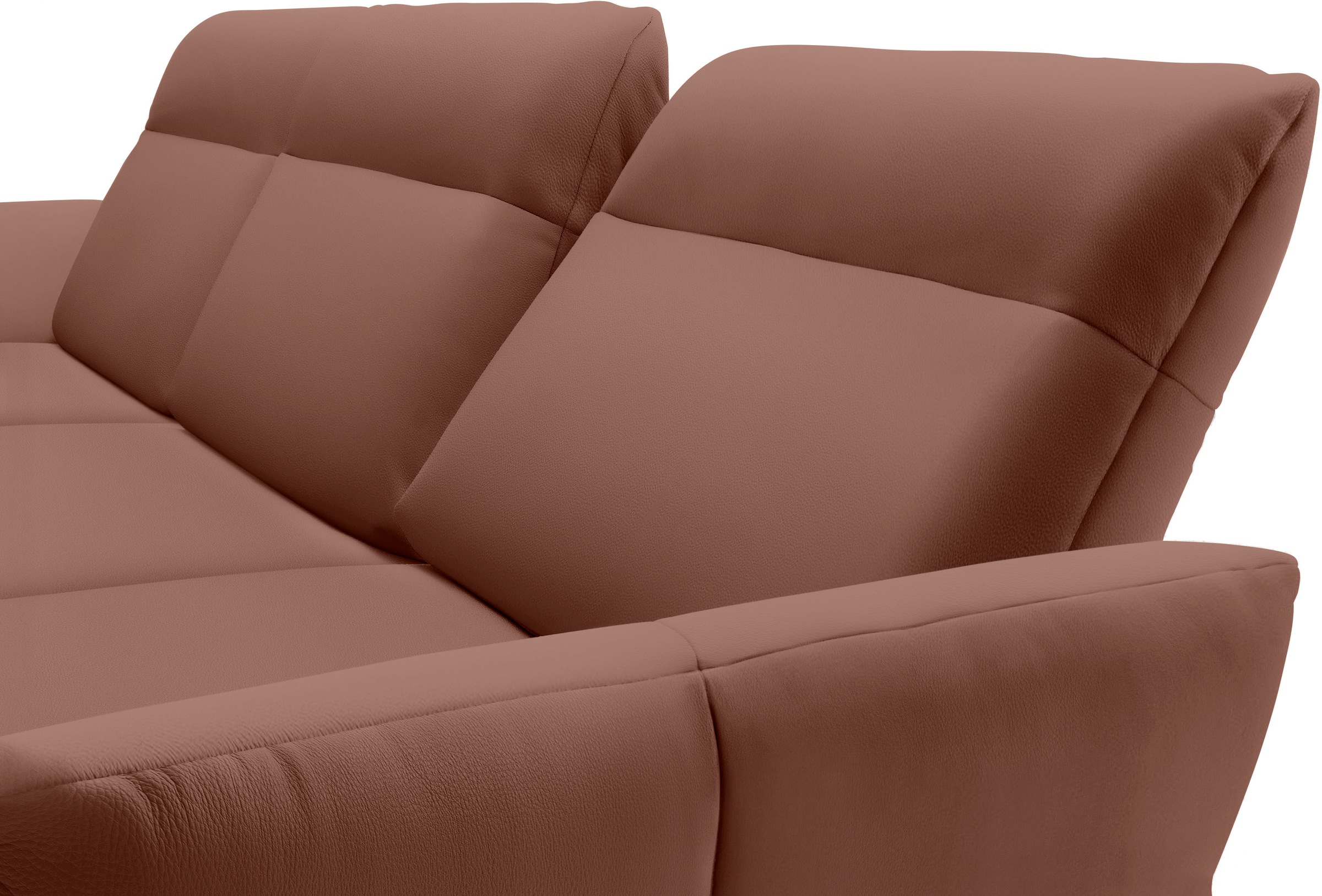 Creation BY ROLF BENZ Ecksofa »hs.460«, Sockel in Eiche, Winkelfüße in Umbragrau, Breite 338 cm