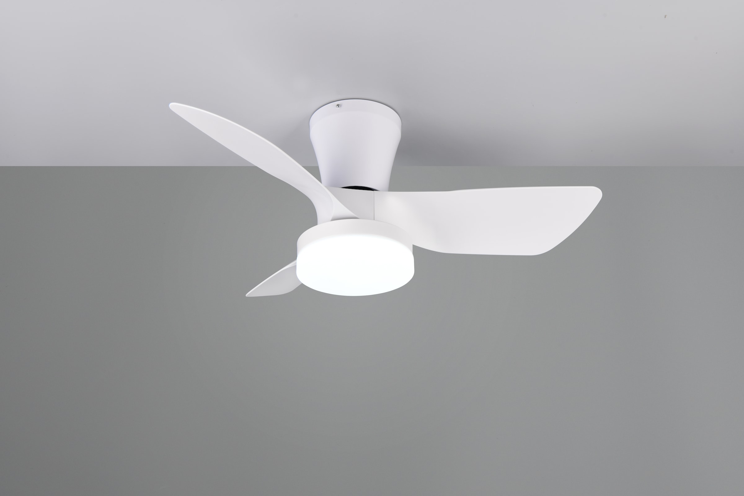 REALITY Leuchten LED Deckenleuchte »RANDERS mit Ventilator, Deckenventilator mit Licht inkl Fernbedienung« LED-Board 1 Stk. warmweiß - kaltweiß 6 Geschwindigkeiten Timer Vor- & Rücklauf LED dimmbar CCT Nachtlicht