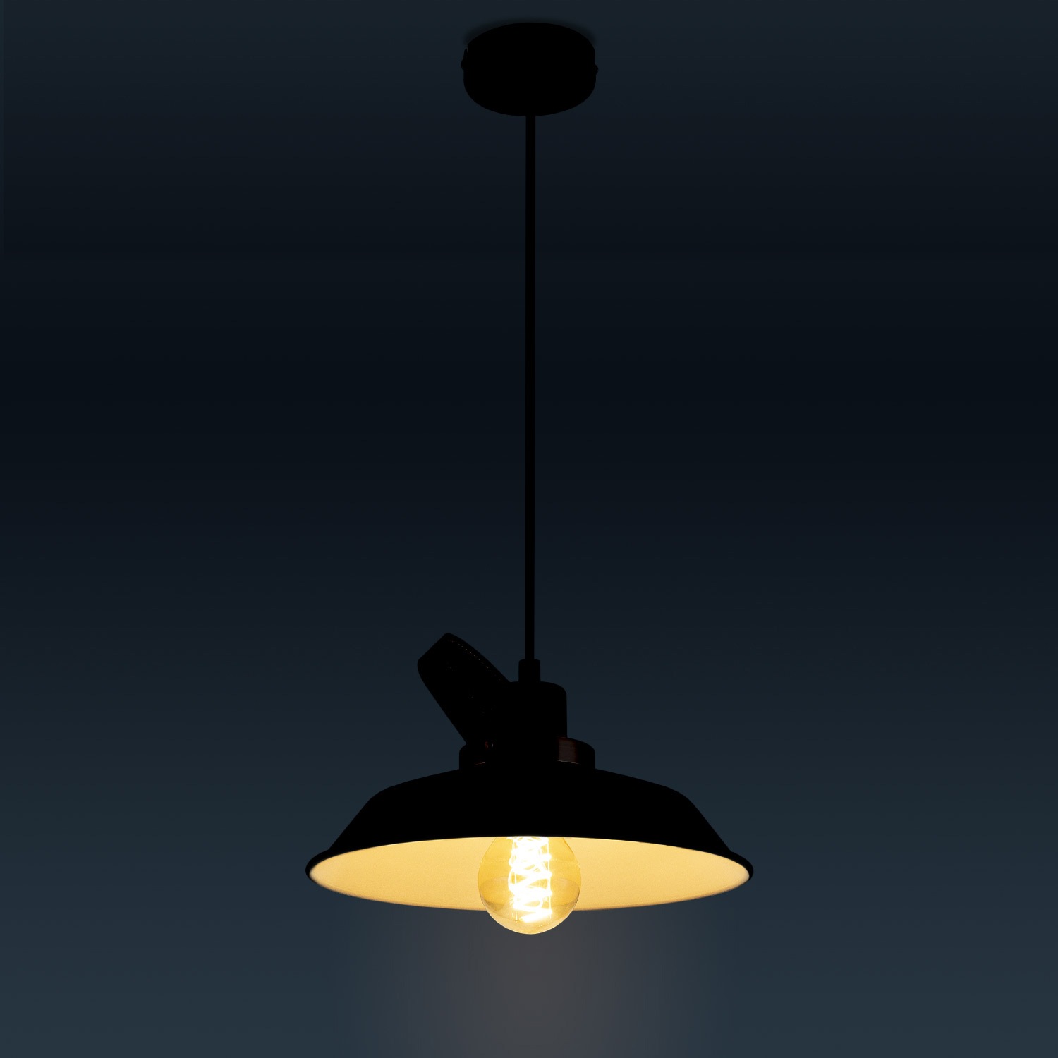 Paco Home Pendelleuchte »INKA L« E27