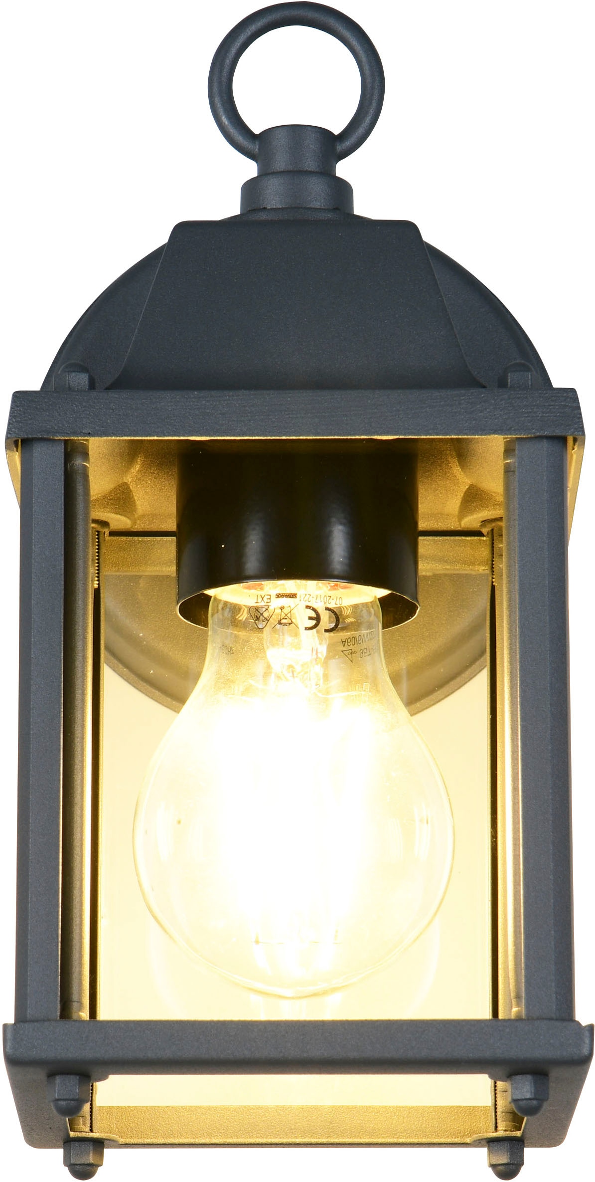 TRIO Leuchten Außen-Wandleuchte »MIRANDE, Hauswand Leuchte Laterne mit Glasschirm, exkl 1x E27 max 40W« E27 1 Stk. warmweiß - kaltweiß IP23, Outdoor Wandlampe für wechselbare Leuchtmittel Höhe 23cm