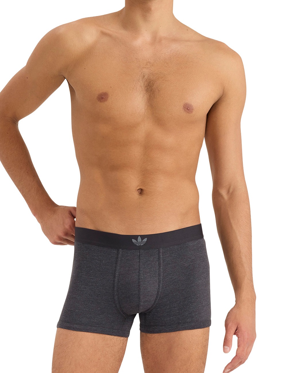 adidas Originals Trunk »Originals Comfort Cotton Blend«