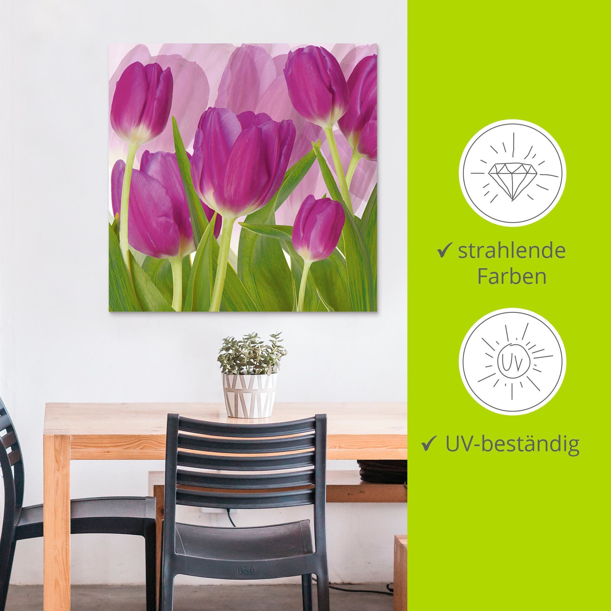 Artland Wandbild »Tulpenfeld lila« Blumen 1 Stk. tlg. als Alubild, Leinwandbild in verschied. Größen