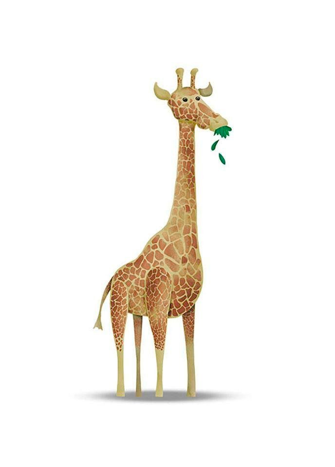 Komar Bild »Cute Animal Giraffe«, Tiere, (1 St.), Wandbild zur Dekoration - ohne Rahmen