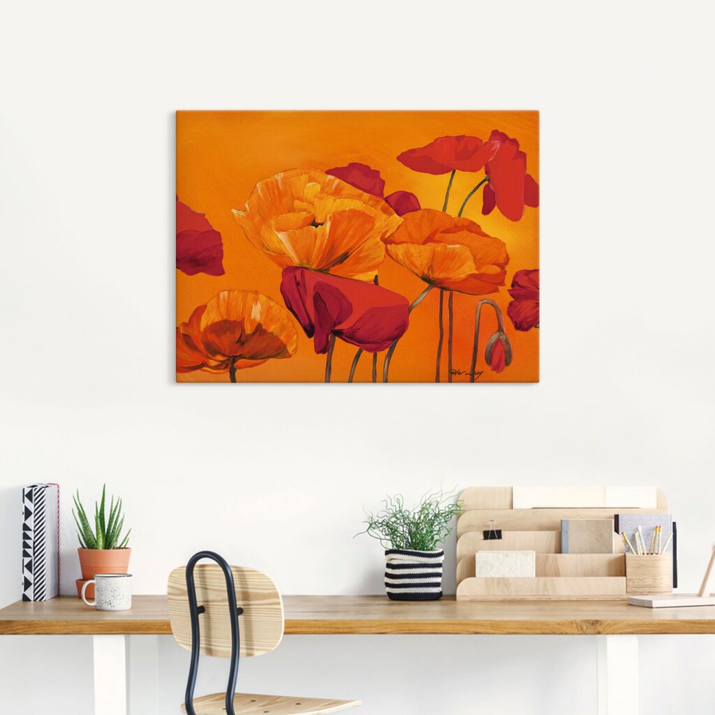 Artland Wandbild »Mohnblume«, Blumen, (1 St.)