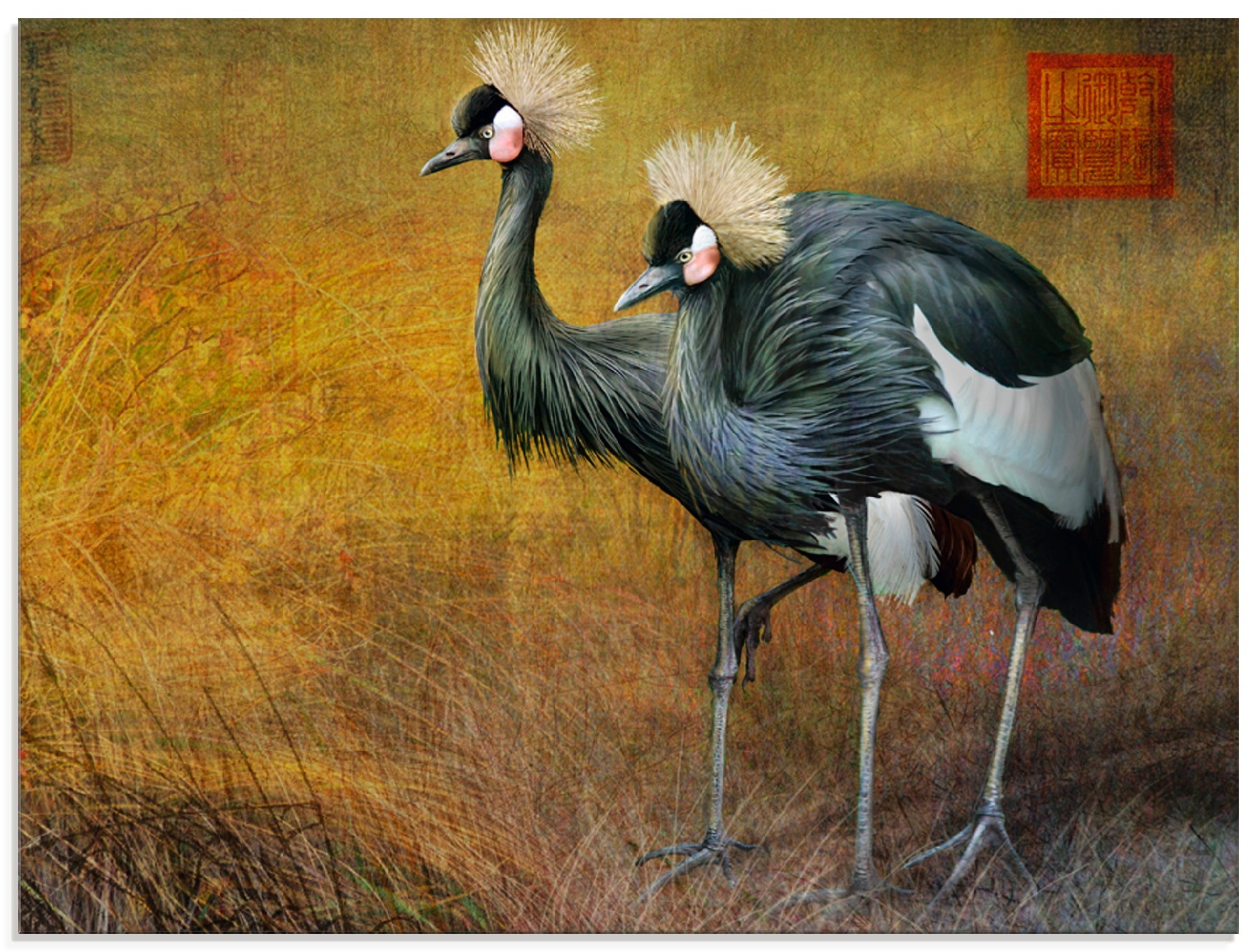 Artland Glasbild »Gehende Pfauen«, Vögel, (1 St.)