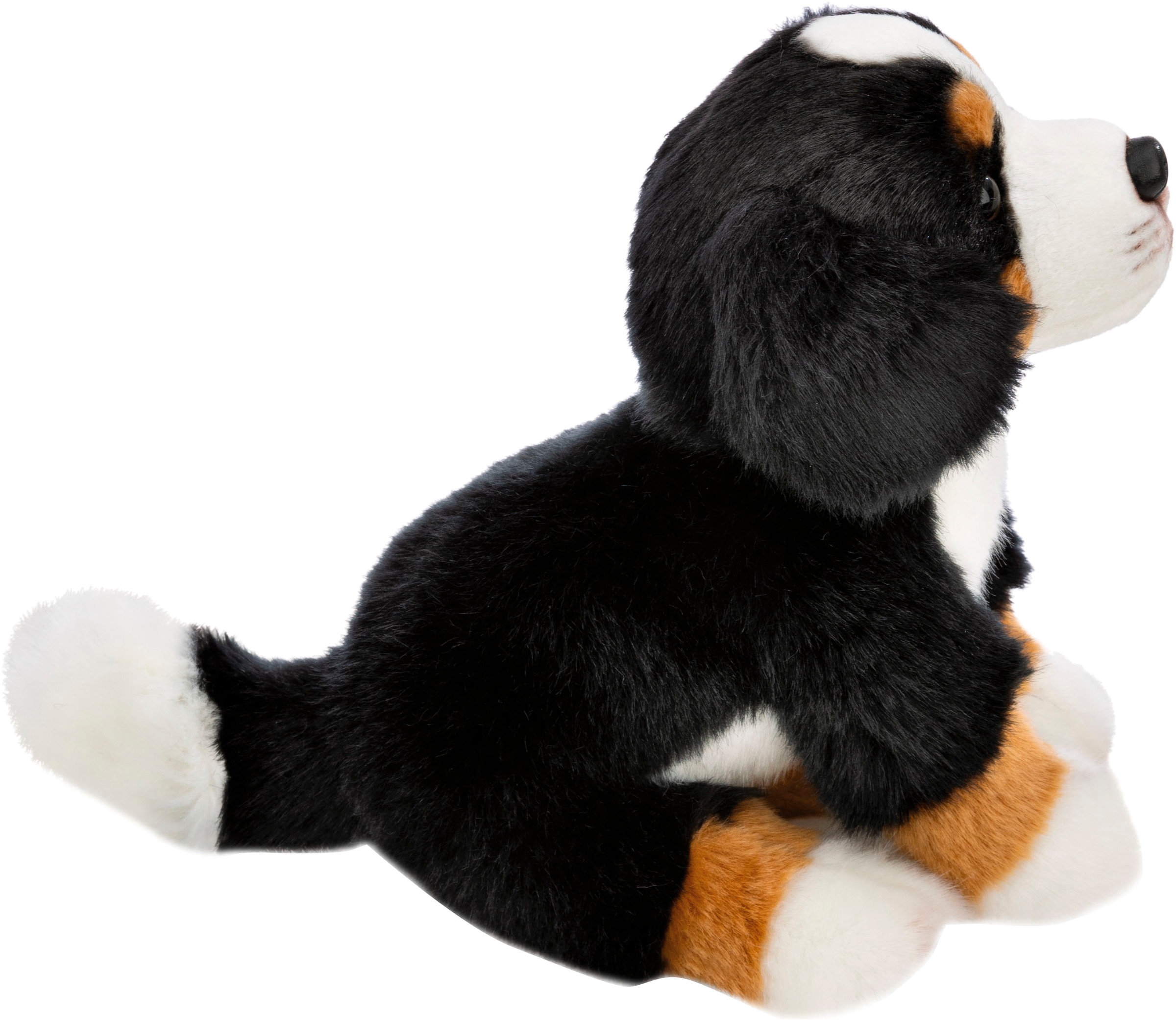 Nici Kuscheltier »Lifelike, Hund Berner Sennenhund, 20 cm«