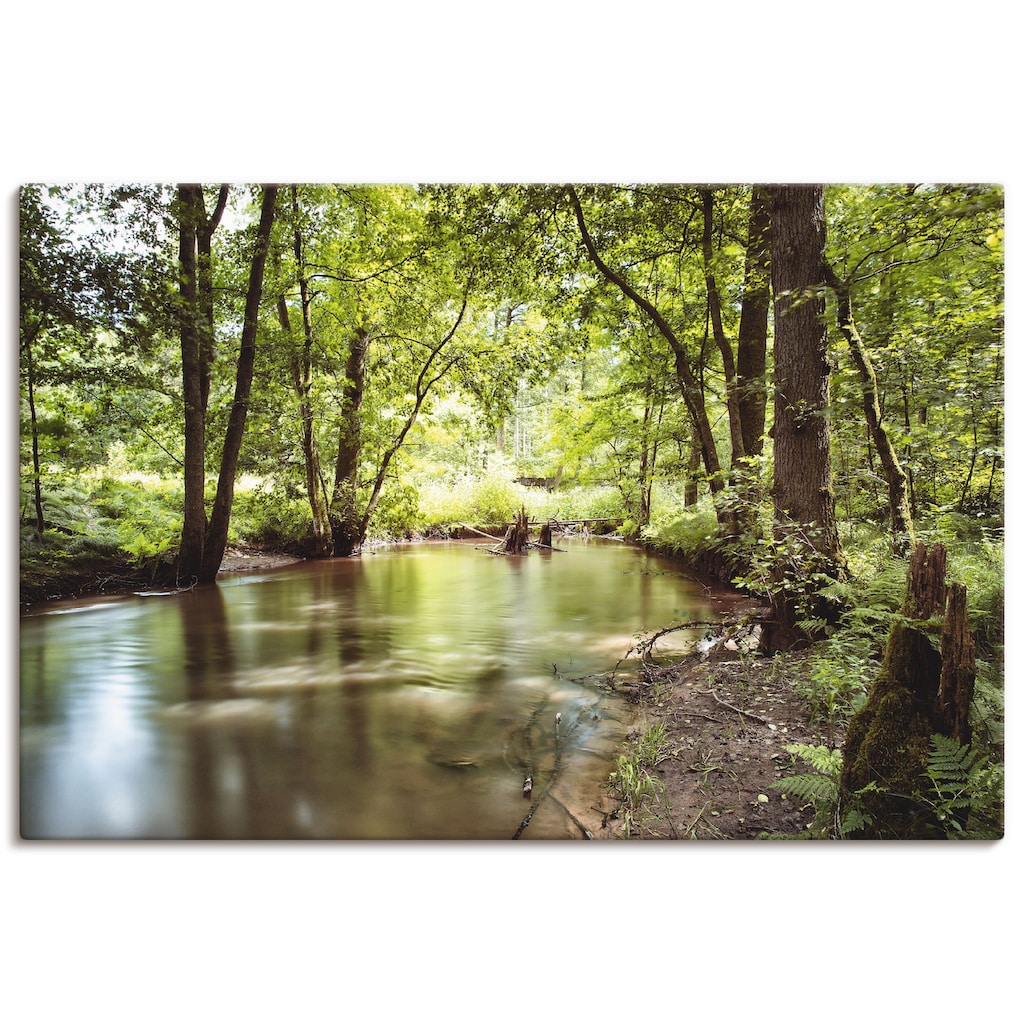 Artland Leinwandbild »Spessart II«, Wald, (1 St.)