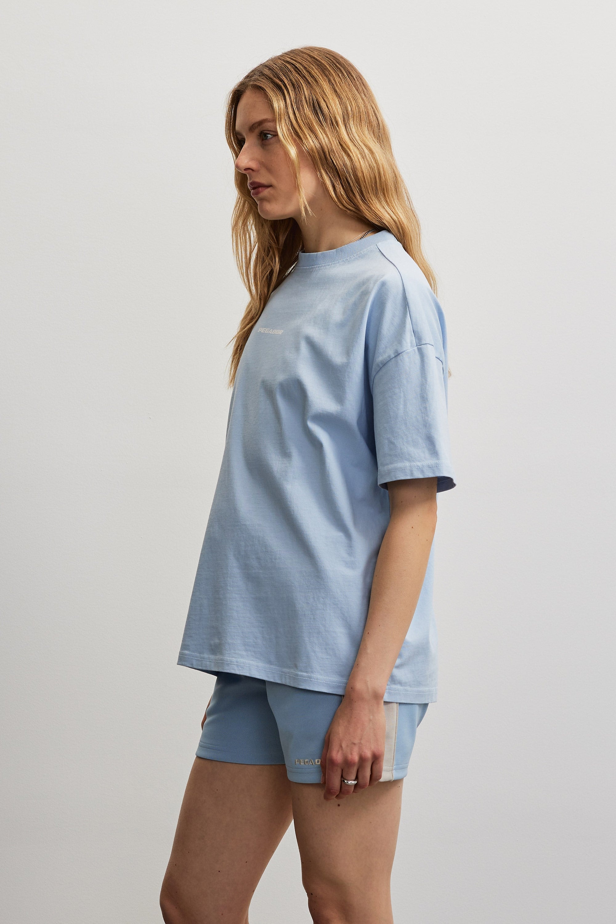 PEGADOR T-Shirt »ARENDAL LOGO HEAVY OVERSIZED TEE« Baumwolle, oversize