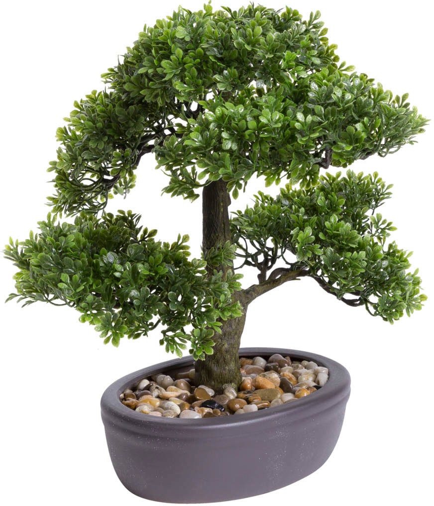 Kunstbonsai »Ficus Bonsai«