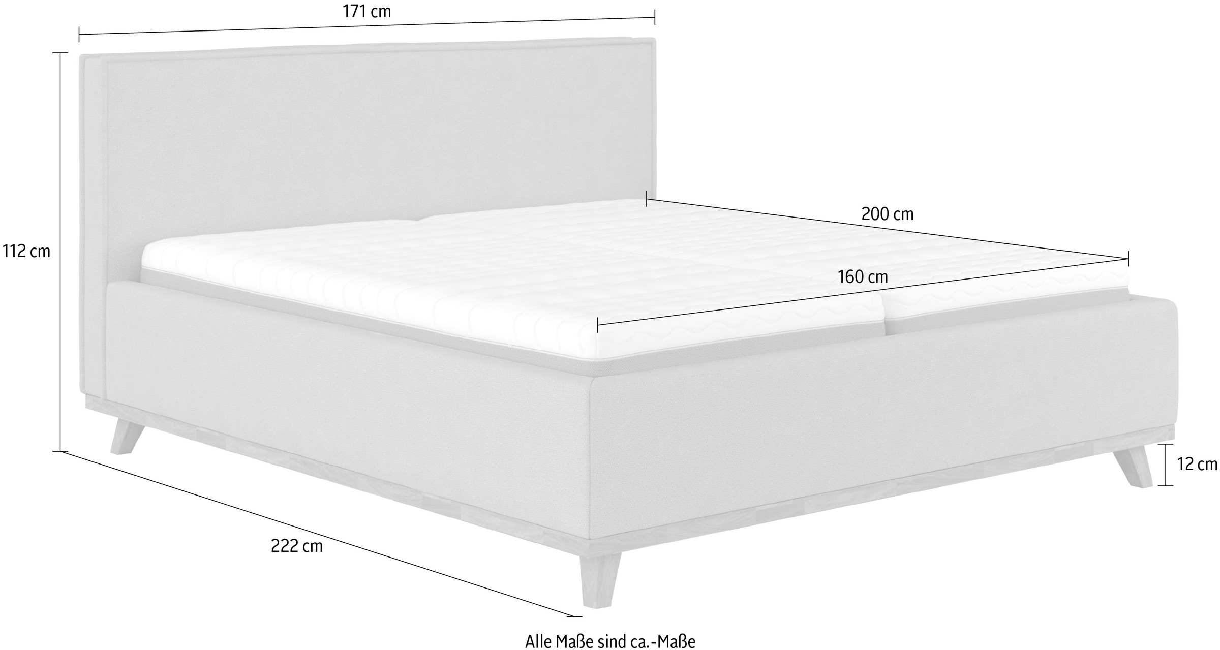 COTTA Polsterbett »MILLI I wahlweise mit Bettkasten«