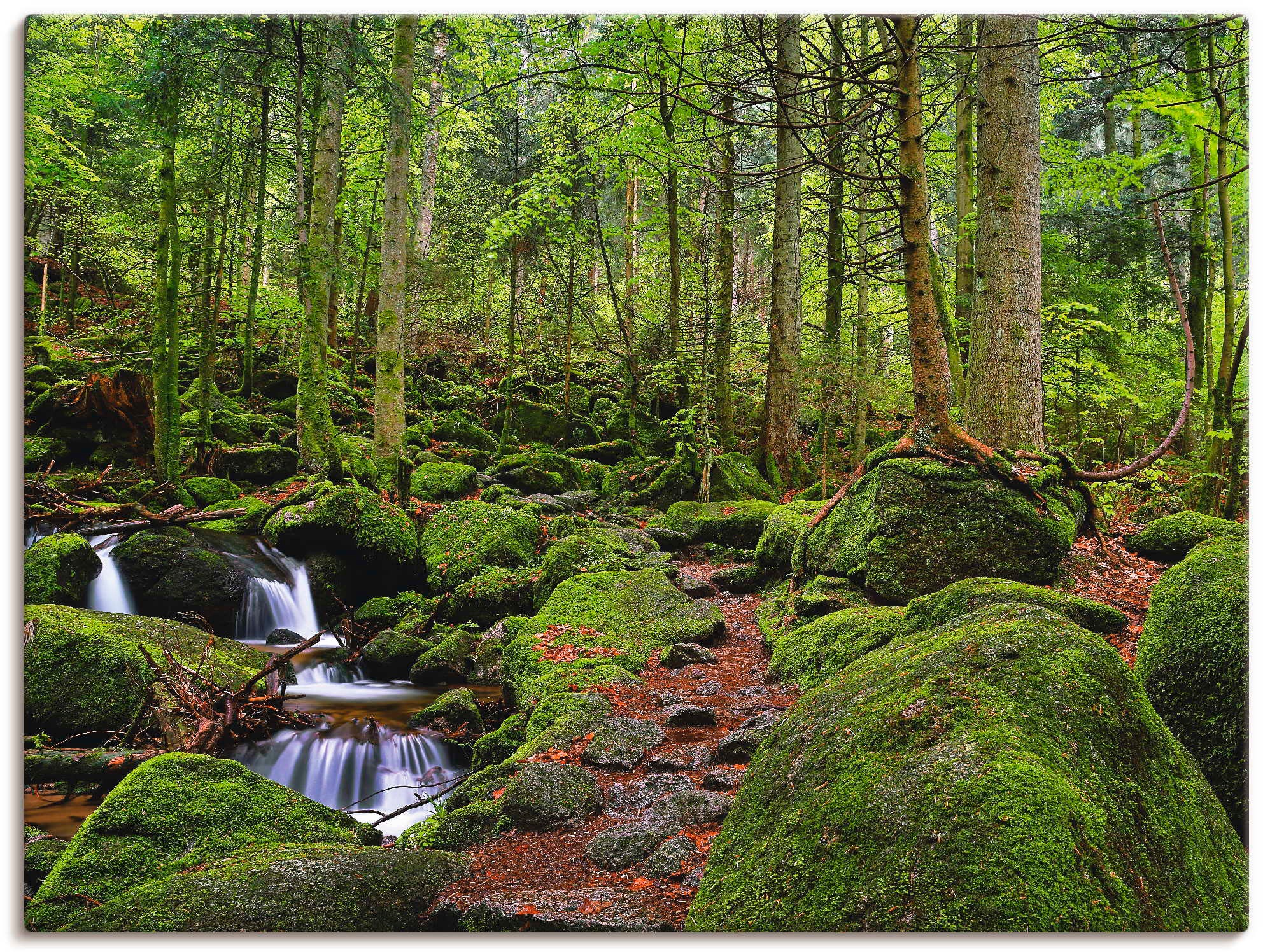 Poster im Online Artland (1 Wald, Wandaufkleber Größen Shop versch. Wandbild »Zauberwald«, Leinwandbild, OTTO St.), oder als in