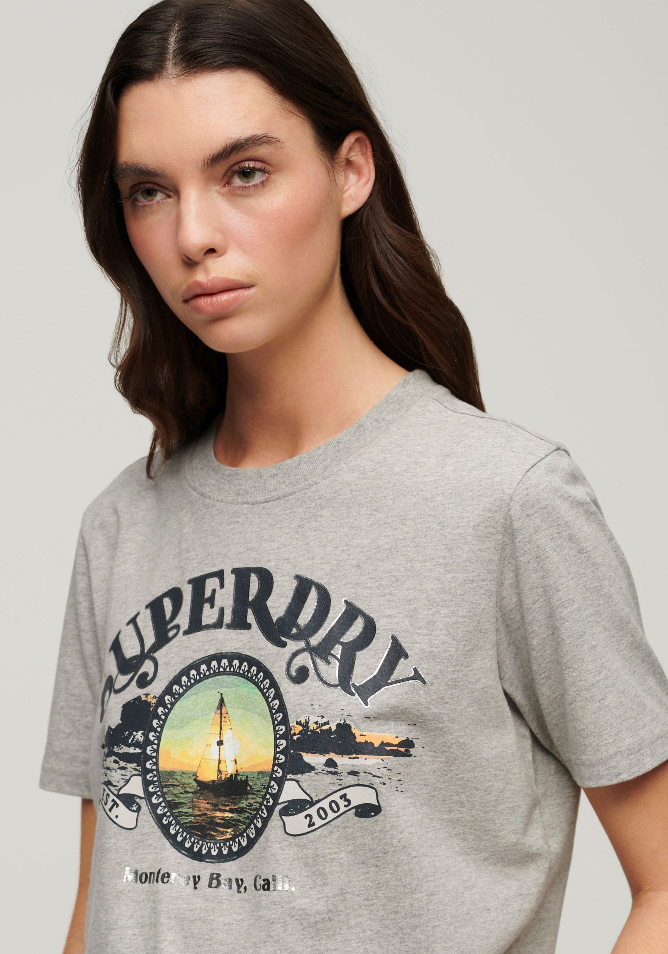 Superdry Print-Shirt »TRAVEL SOUVENIR RELAXED TEE«