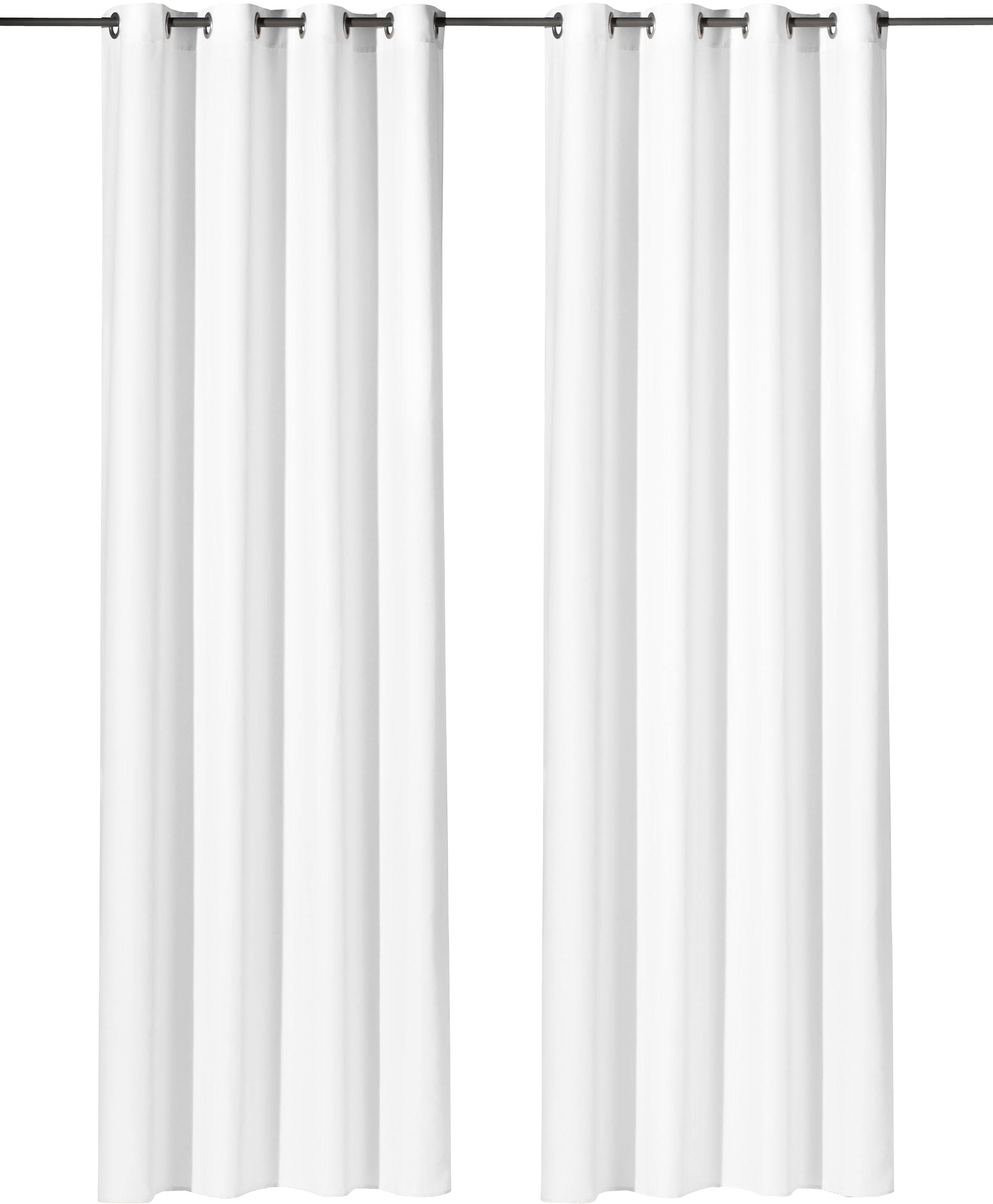 Weckbrodt Vorhang »Vito«, (1 St.), Microvelour, blickdicht, Unifarben, Gardine, Store