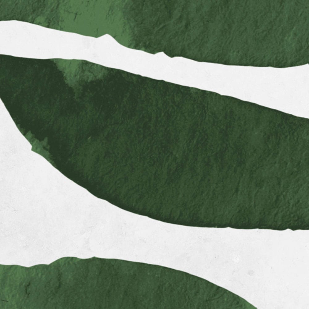 Komar Fototapete »Digitaldruck Vlies - Botanic Harmony - Größe 500 x 250 cm«, bedruckt, Wohnzimmer, Schlafzimmer