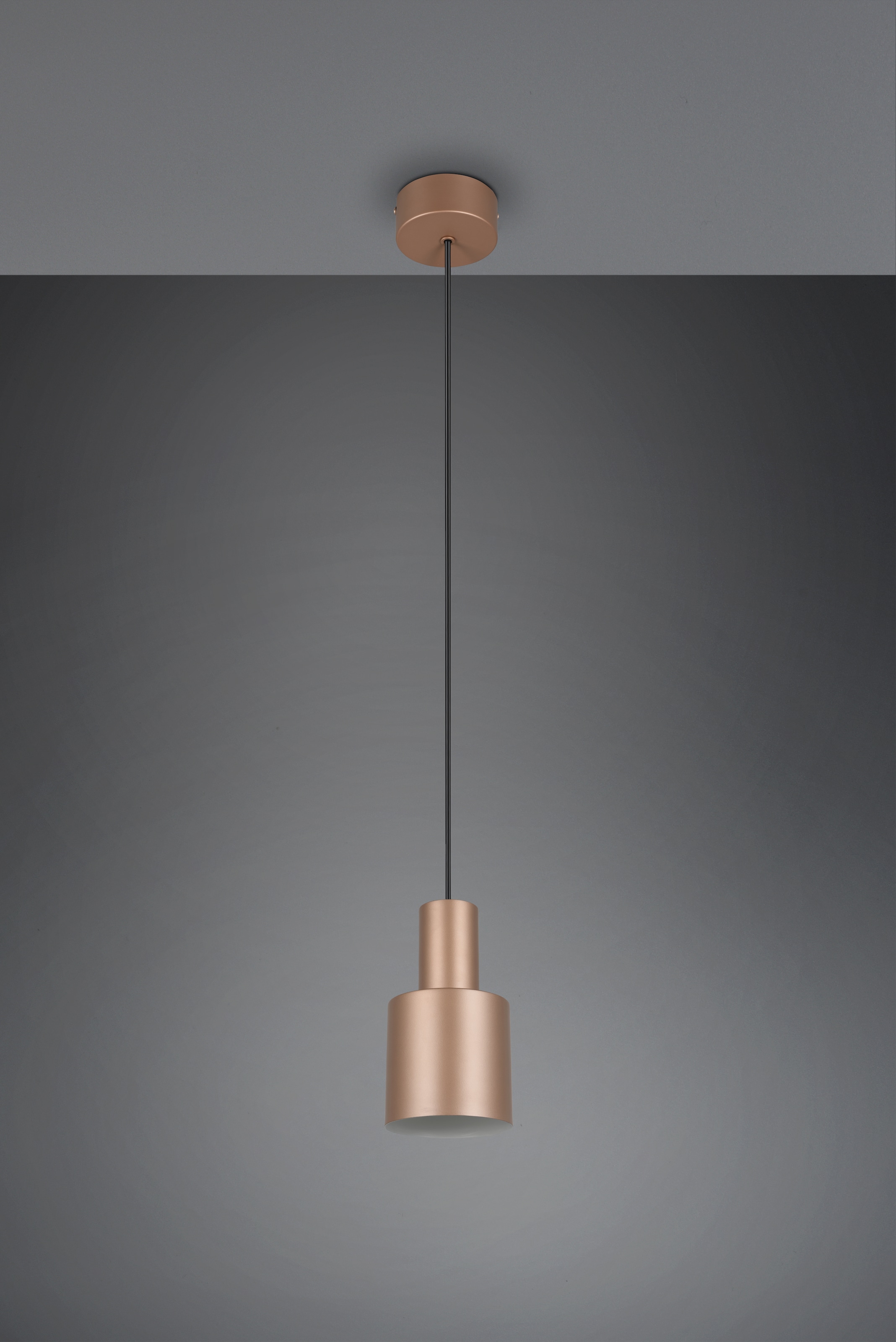 TRIO Leuchten Pendelleuchte »AGUDO, Hängelampe 1-flammig, exkl 1xE27 max 10W, höhenverstellbar« E27 1 Stk. warmweiß - kaltweiß Hängelampe Ø 12cm, bis max 150cm Abhängung, Küche Esszimmer Wohnzimmer