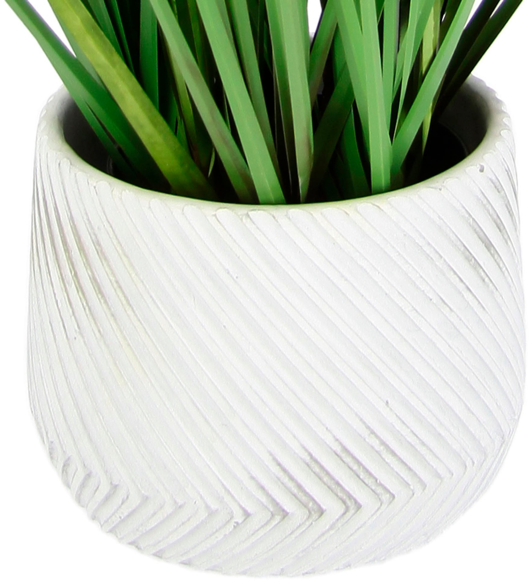 I.GE.A. Kunstpflanze »Fuchsschwanzgras« Mit Übertopf Kunstgras Deko Borstenhirse Panicoideae Süßgräser Setaria