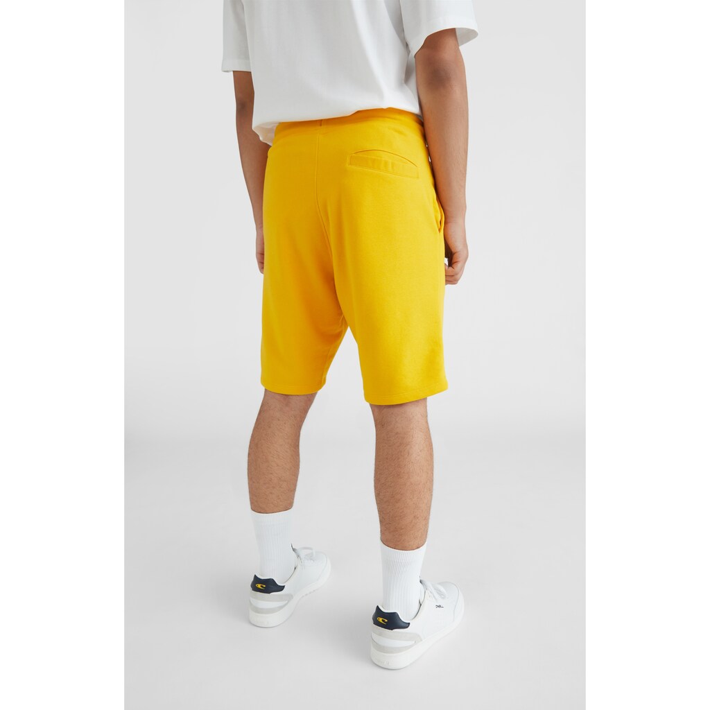 O'Neill Shorts »STATE JOGGER SHORT«