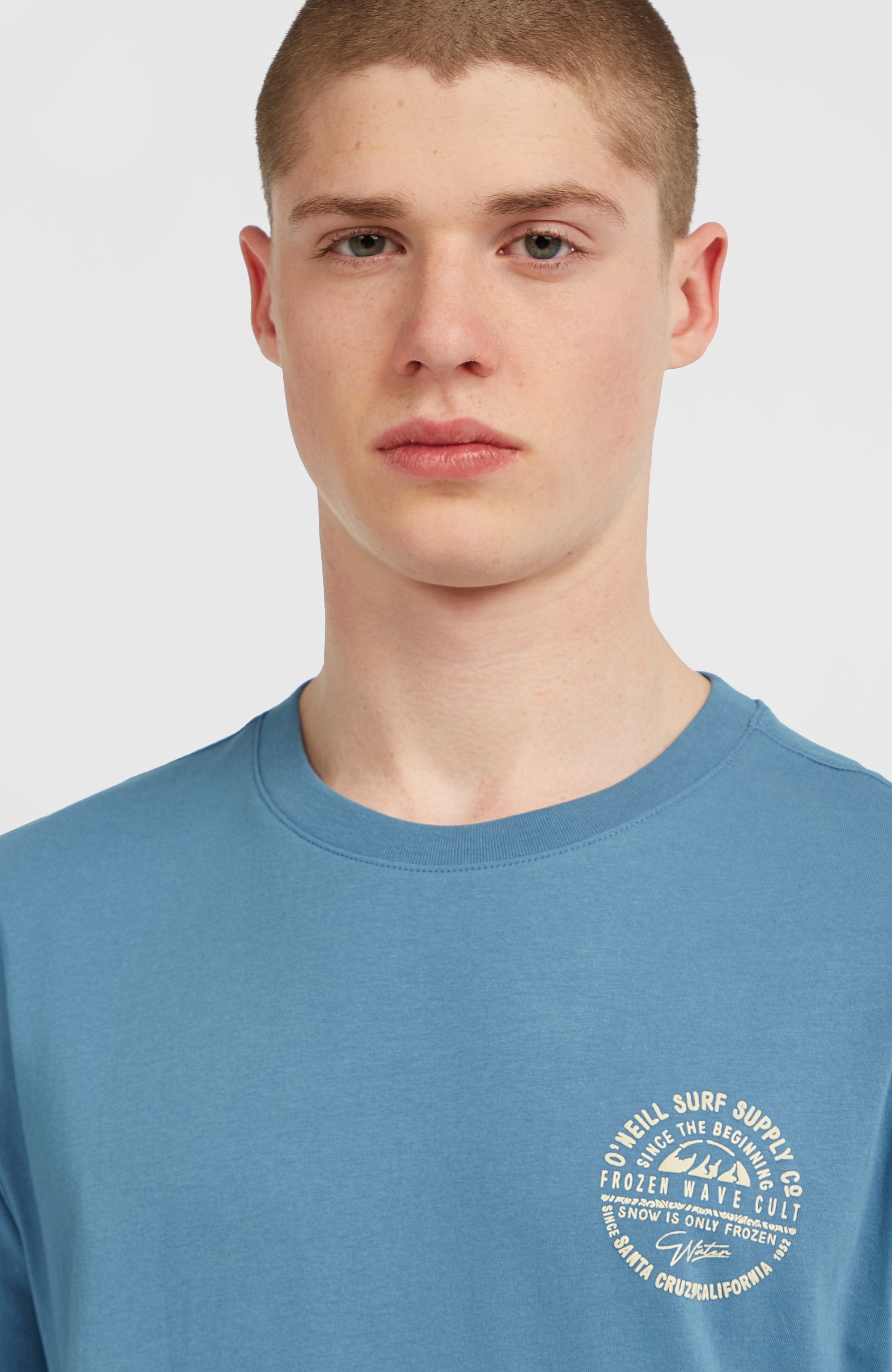 O'Neill T-Shirt »O'NEILL CHEST PRINT T-SHIRT«, (1 tlg.)