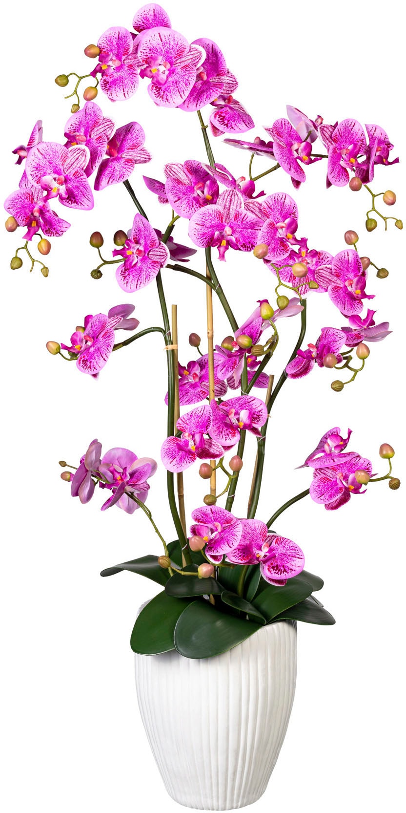 Kunstorchidee »Deko-Orchidee Phalaenopsis XL im Keramiktopf«