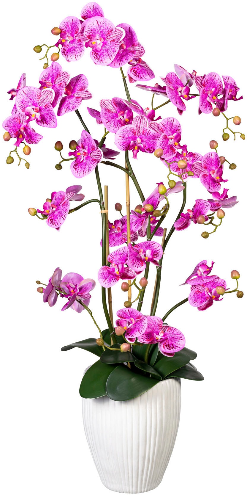 Creativ Green Kunstorchidee »Deko-Orchidee Phalaenopsis XL im Keramiktopf« in lila, Größe B/H/L: 50 cm x 110 cm x 40 cm