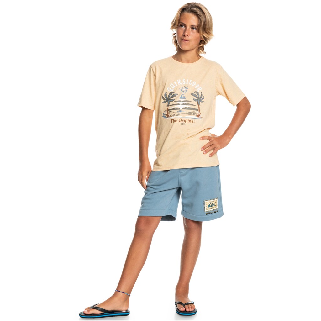 Quiksilver Trainingsshorts »Stir Roots Up 17"«