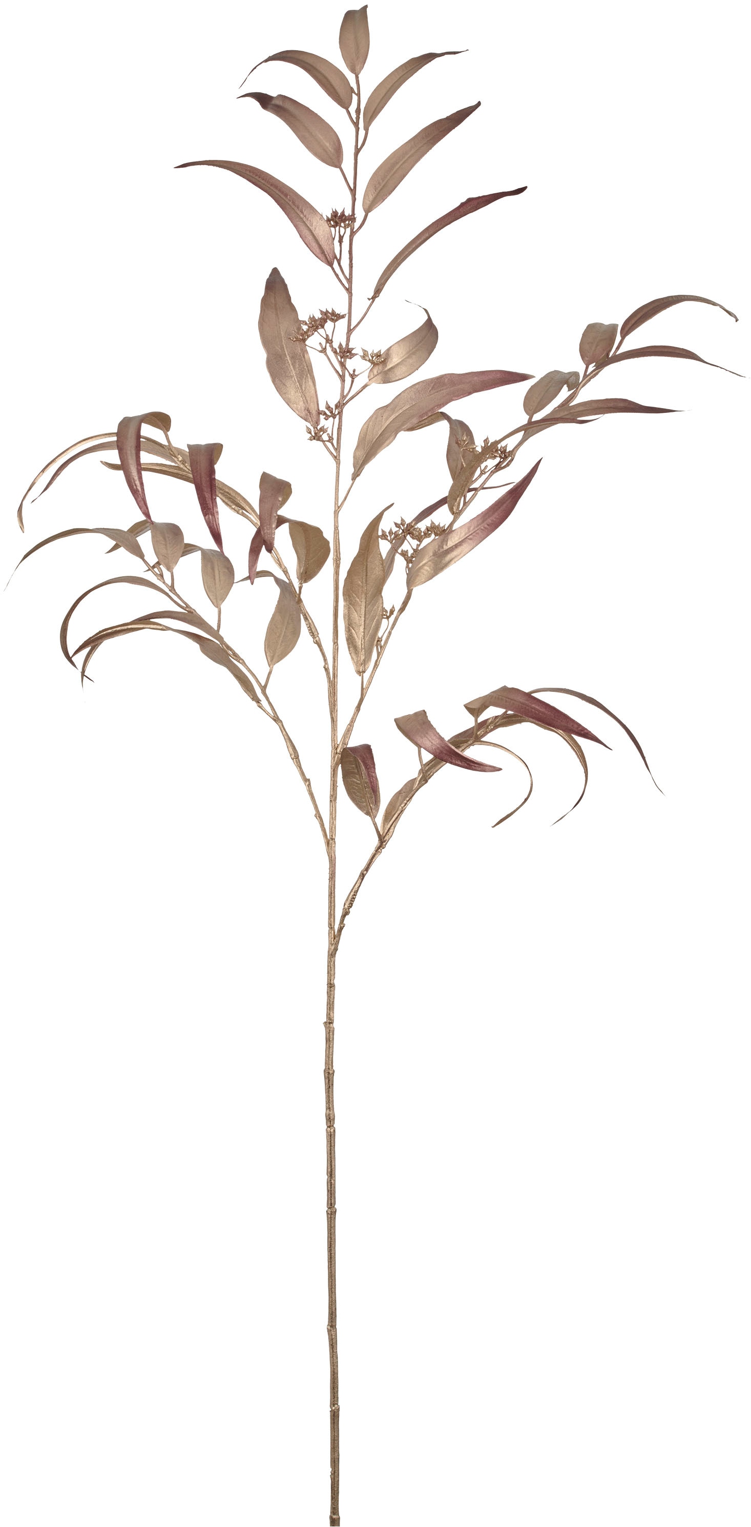 Creativ green Kunstzweig »Eukalyptuszweig« in festlicher Farbe