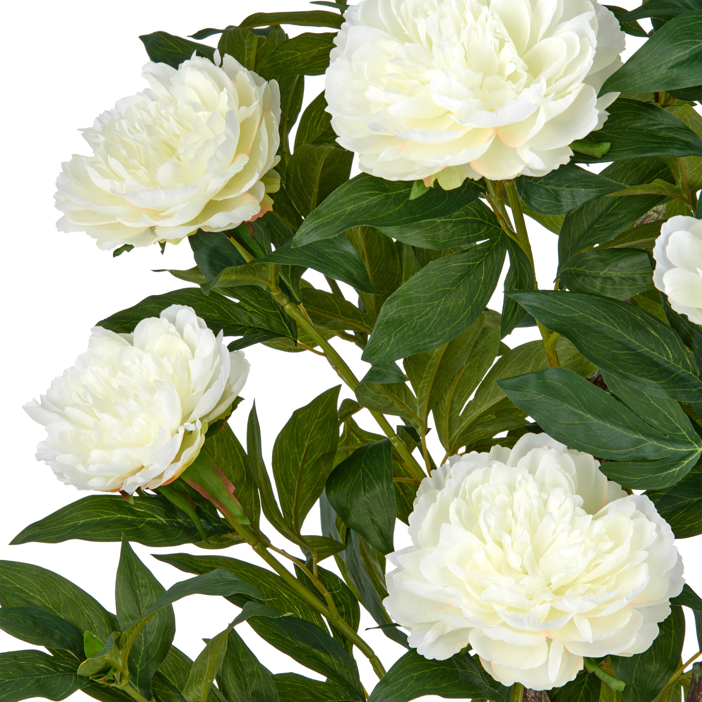 Creativ green Kunstpflanze »Peonie« im eleganten Topf