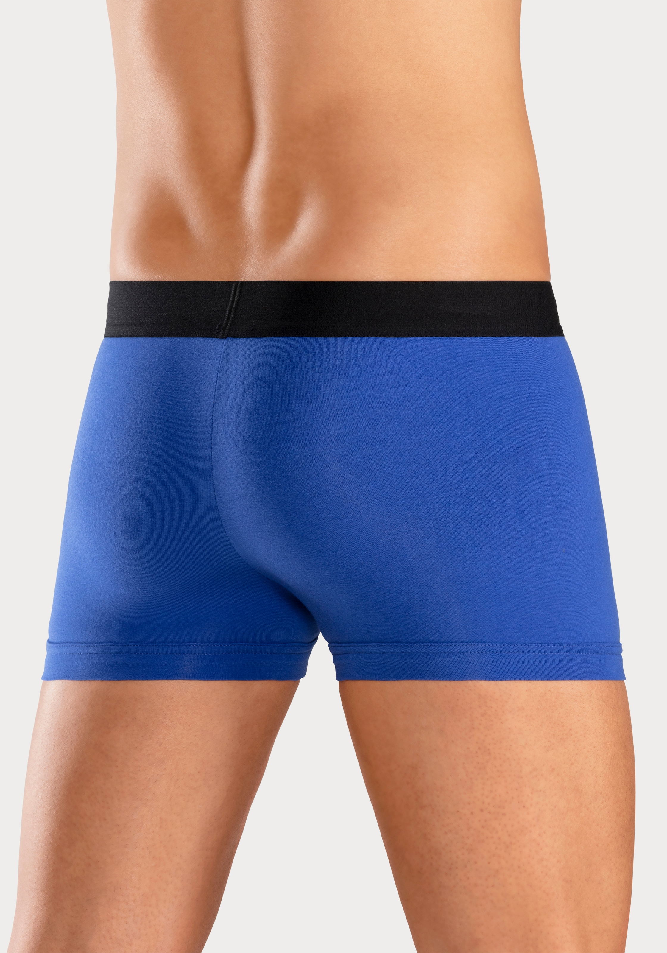Bruno Banani Boxer »Boxershorts für Herren«, (Packung, 5 St.), mit Streifen Logo Webbund