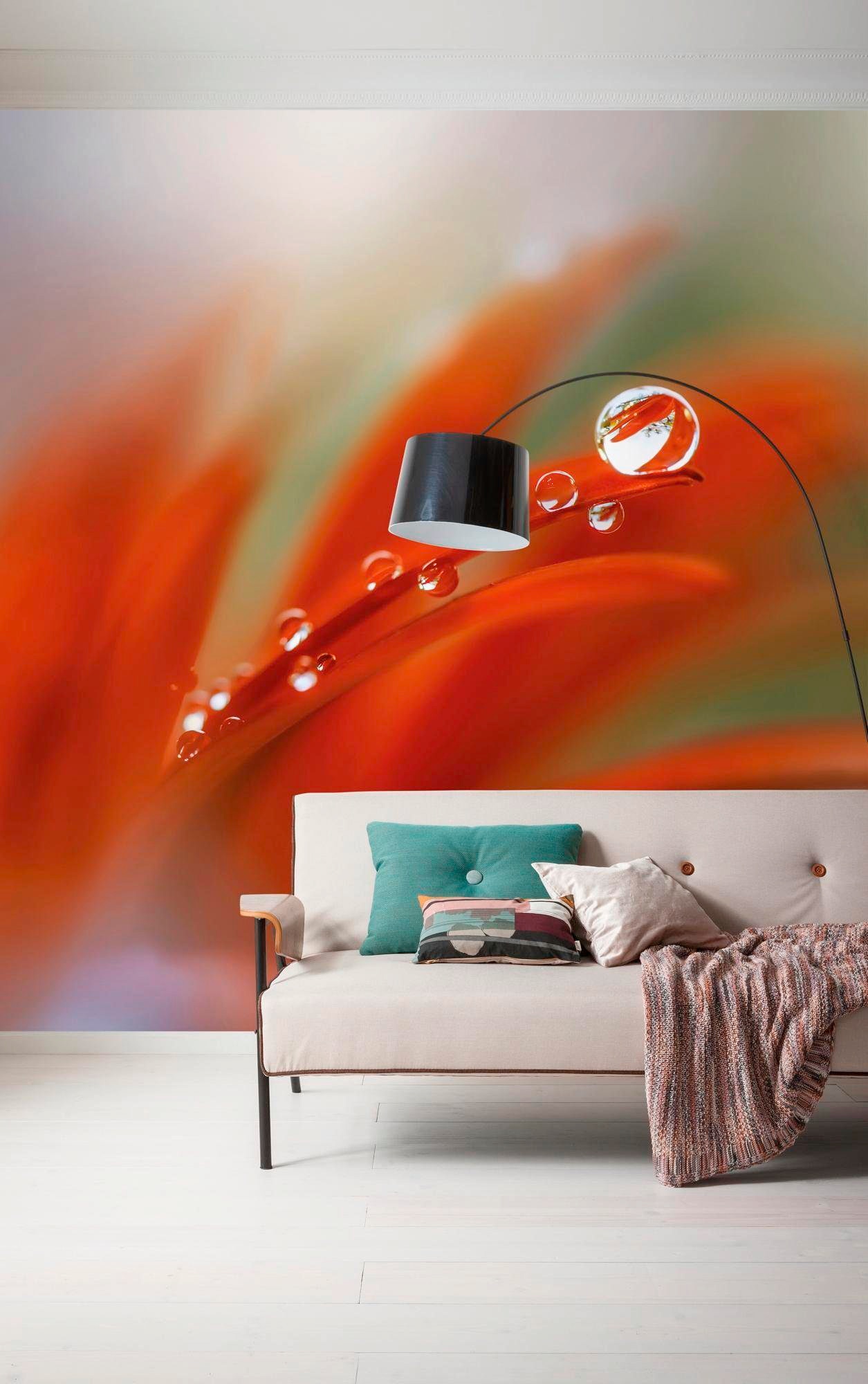 Komar Vliestapete »Digitaldruck Vlies - Tautropfen - Größe 300 x 250 cm«, bedruckt, Wohnzimmer, Schlafzimmer