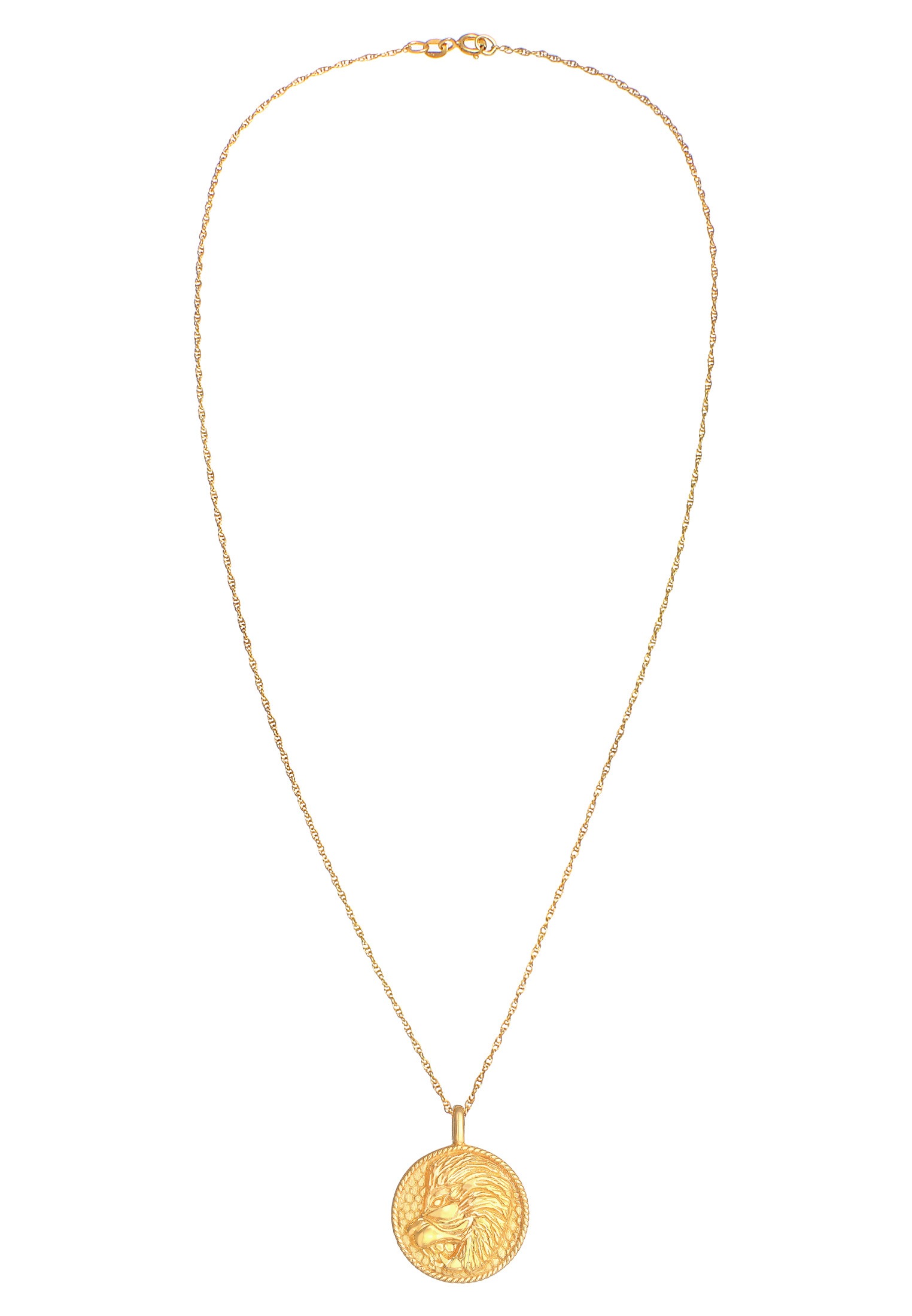Elli Kette mit Anhänger »Halskette Sternzeichen Löwe Astro Münze Antik 925 Silber«