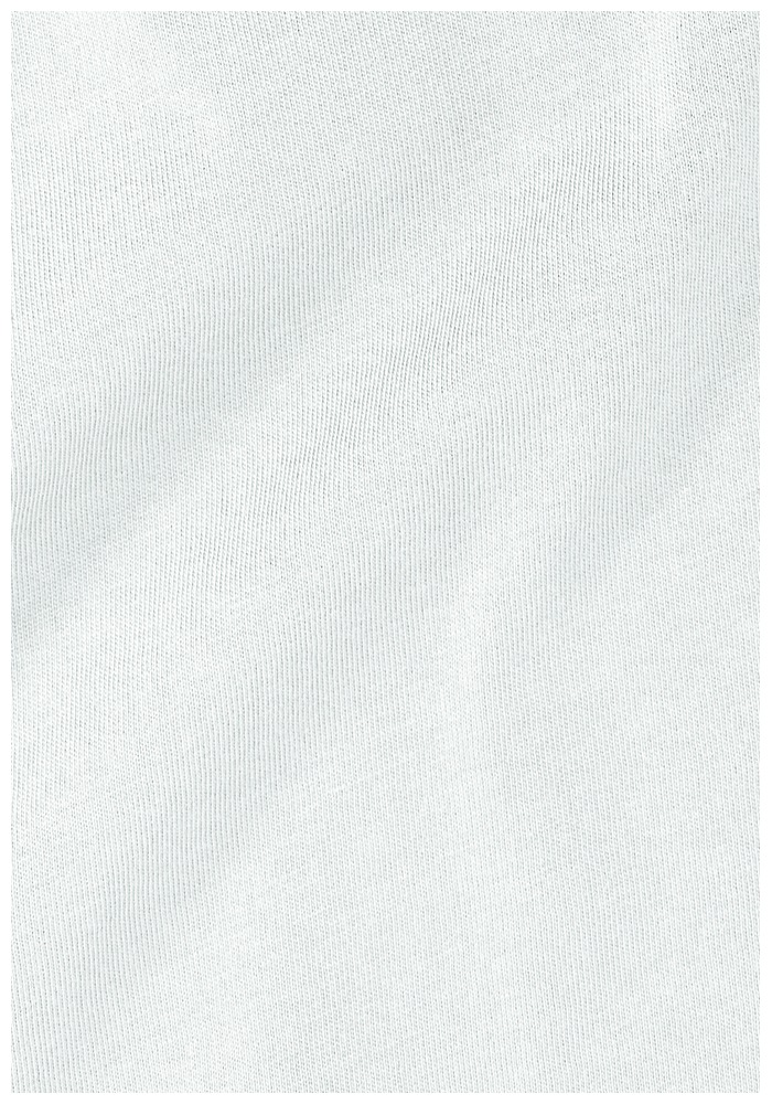 Jack Wolfskin T-Shirt »CURIOUS T W«