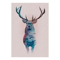 Komar Poster »Animals Forest Deer«, Tiere, Höhe: 70cm