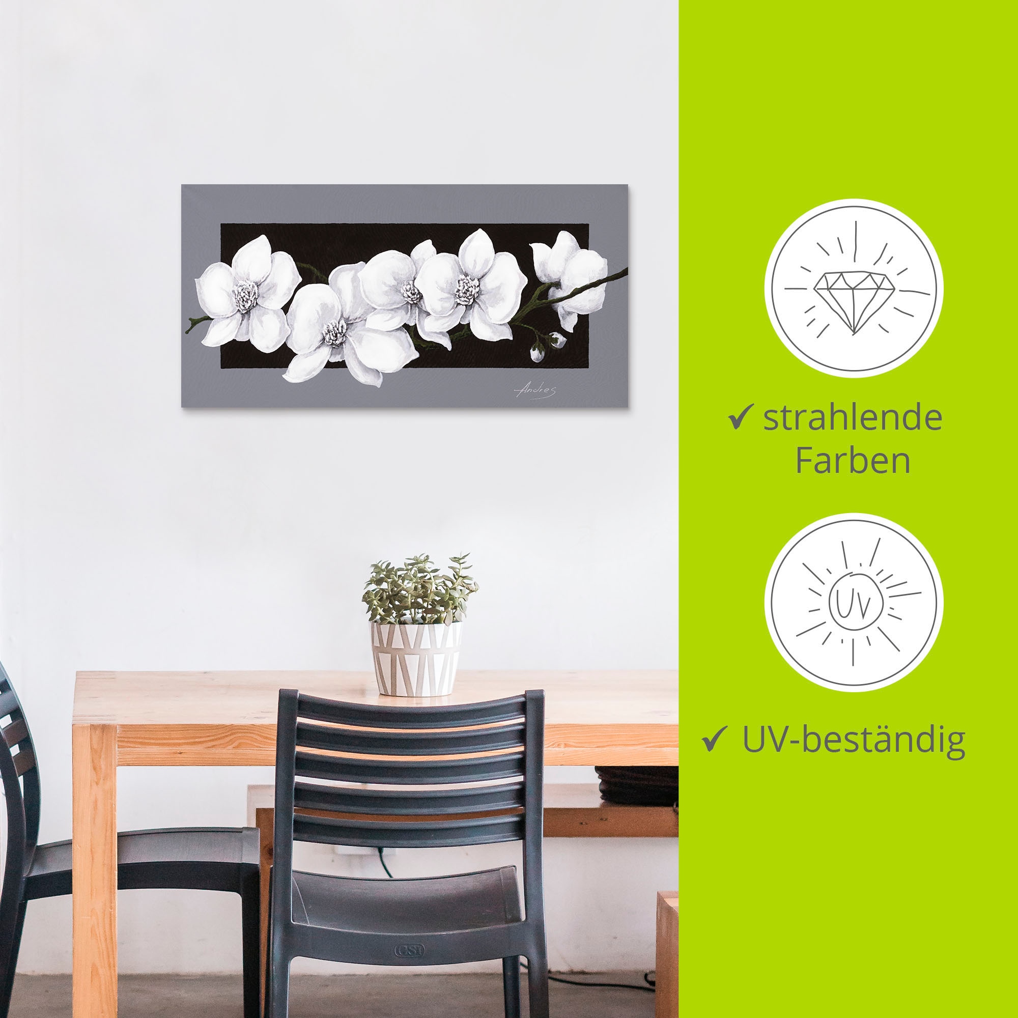 Artland Wandbild »Weiße Orchideen auf grau«, Blumen, (1 St.), als Alubild, Outdoorbild, Leinwandbild, Poster, Wandaufkleber
