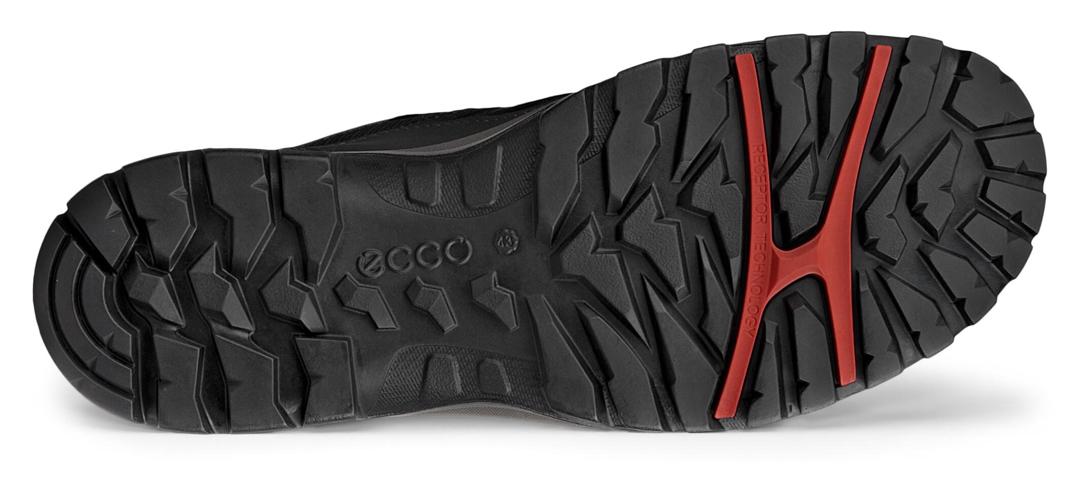 Ecco Schnürschuh »XPEDITION 3 M«, mit GORE-TEX, Outdoorschuh, Halbschuh, Schnürschuh