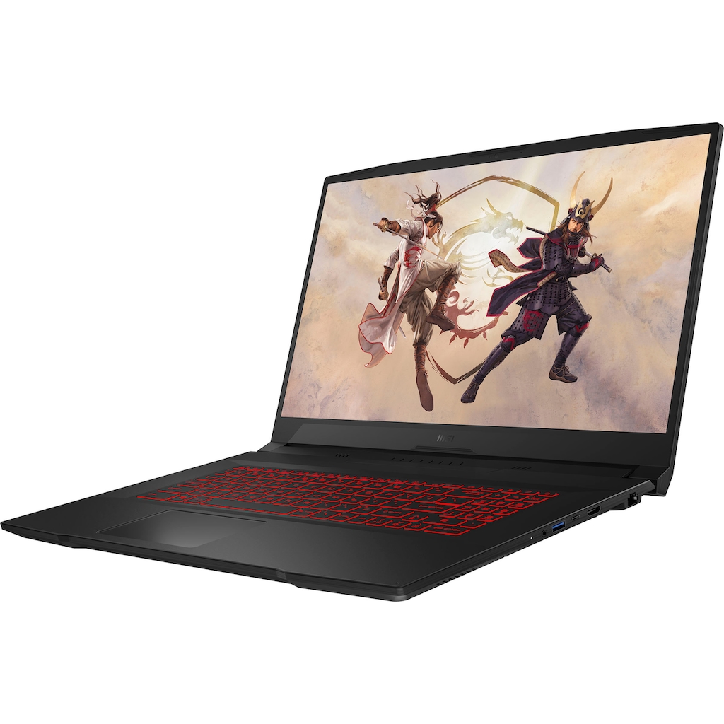 MSI Gaming-Notebook »Katana GF76 11UG-412«, 43,9 cm, / 17,3 Zoll, Intel, Core i7, GeForce RTX 3070, 1000 GB SSD