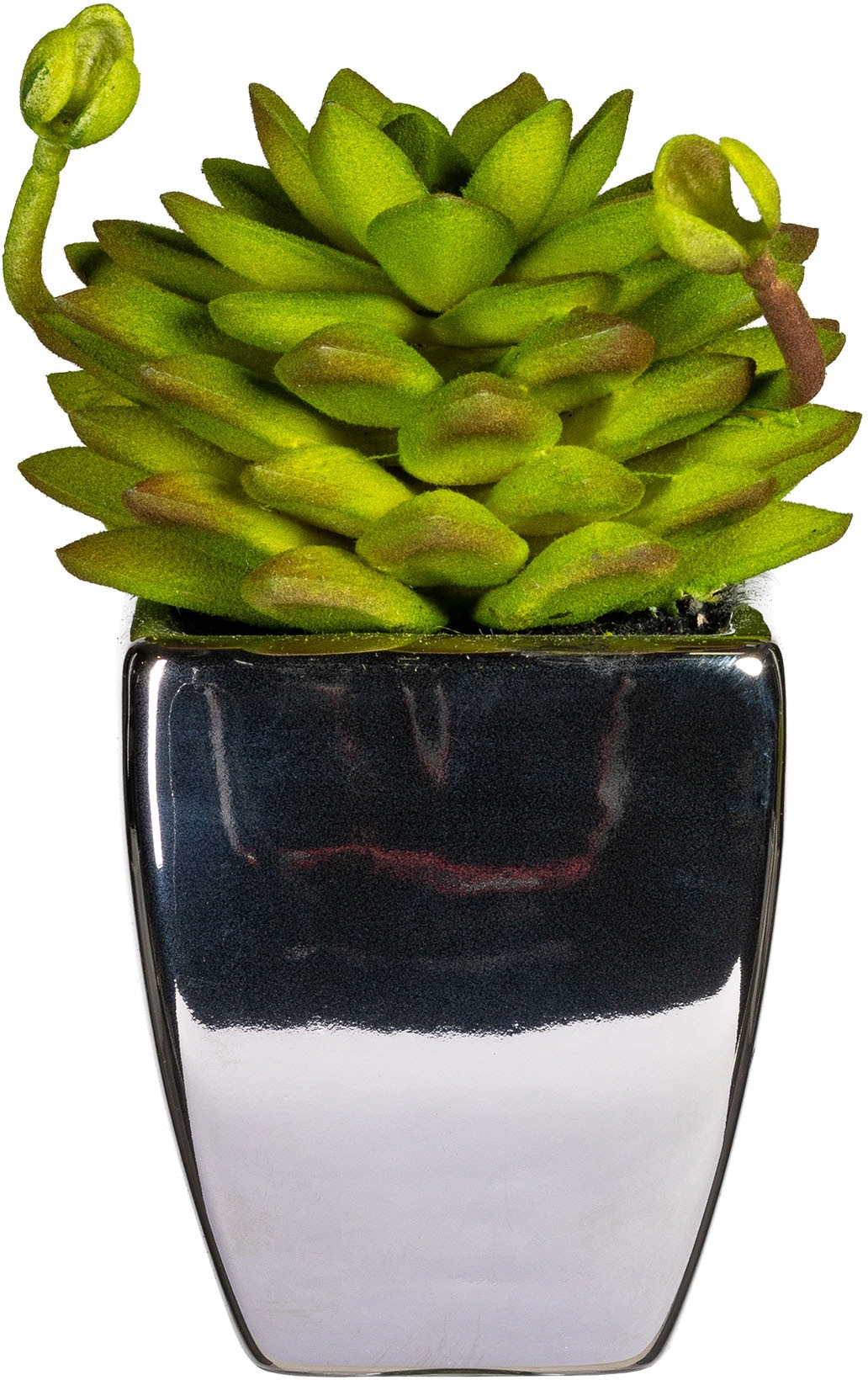 Leonique Kunstpflanze »Loreen« im Topf, 3er Set