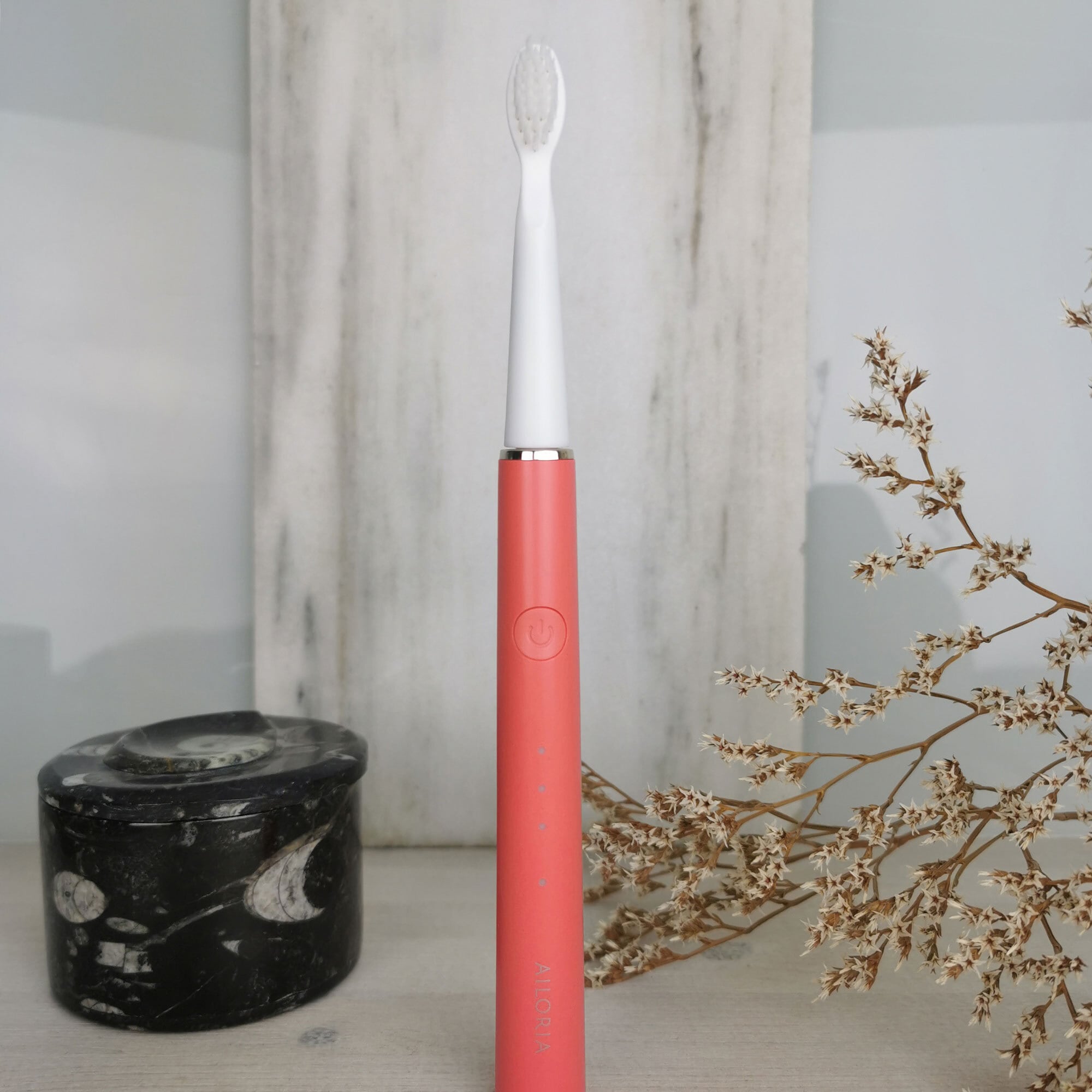 AILORIA Schallzahnbürste »USB-Schallzahnbürste PRO SMILE SET«