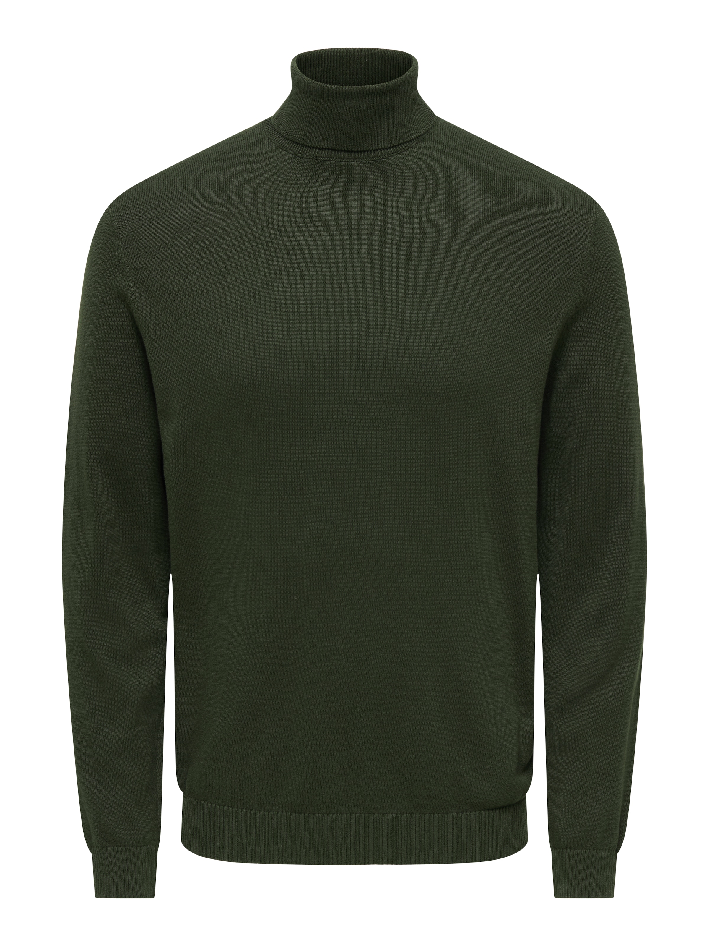 ONLY & SONS Rollkragenpullover »ONSHOLGER REG ROLL NECK KNIT - OTL«