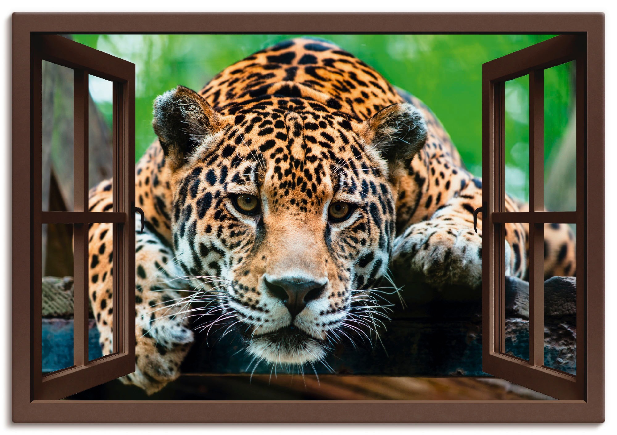 Artland Wandbild »Fensterblick Jaguar«, - St.), Poster oder (1 bestellen Leinwandbild, im versch. Wandaufkleber in Größen OTTO als Online Alubild, Shop Südamerikanischer Wildtiere