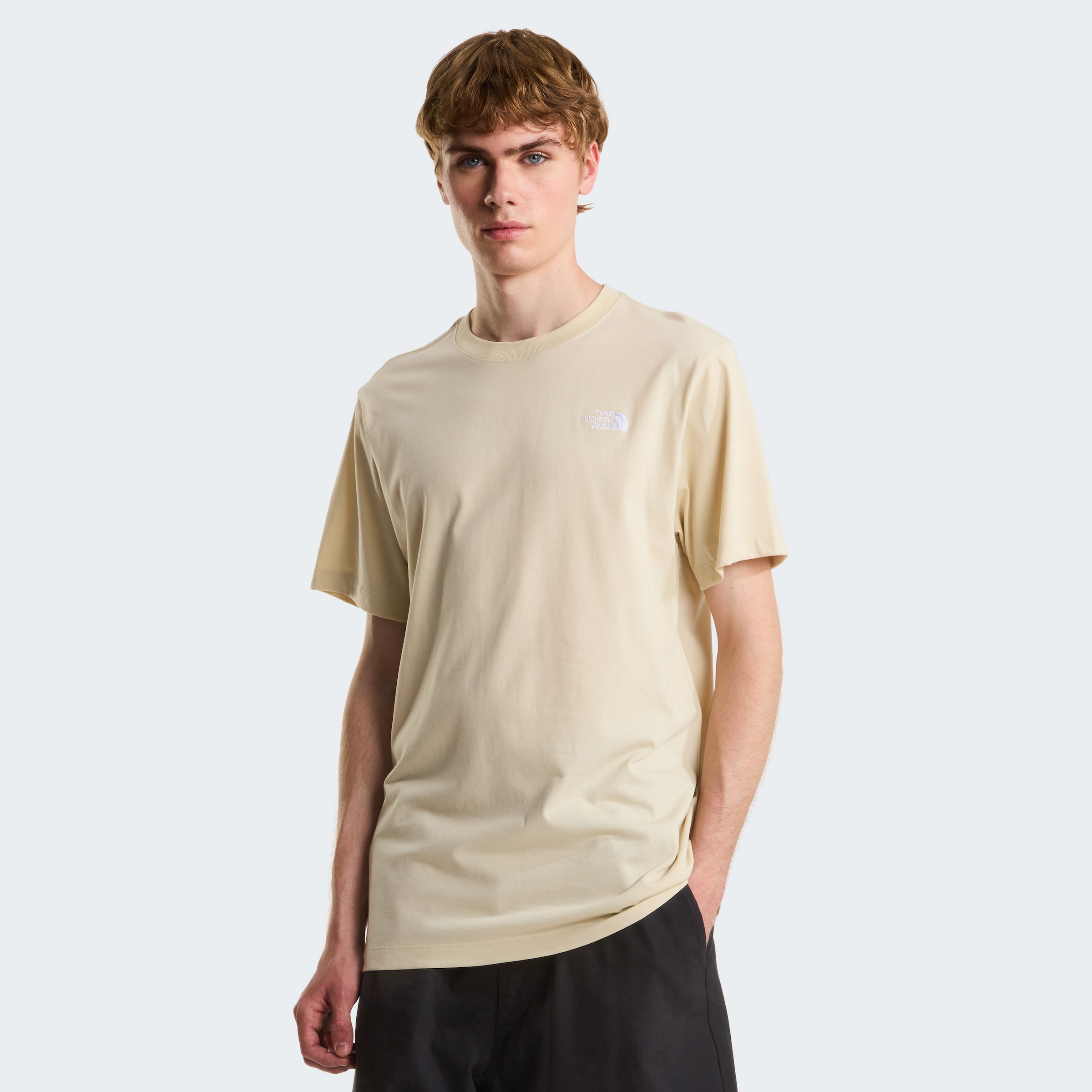 The North Face T-Shirt »M EVOLUTION SIMPLE DOME REGULAR SHORT SL«
