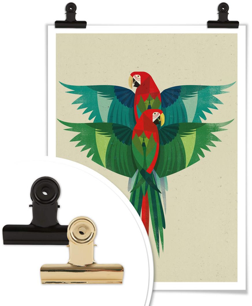 Wandposter Papageien, Wall-Art »Ara«, Wandbild, OTTO (1 St.), bei Bild, Poster, Poster kaufen