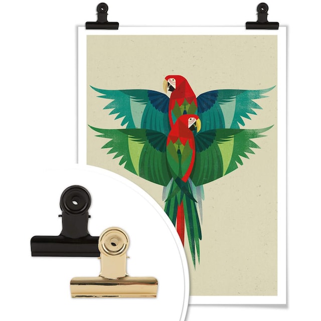 St.), Bild, kaufen »Ara«, Papageien, bei Wall-Art Wandbild, OTTO Poster Wandposter (1 Poster,