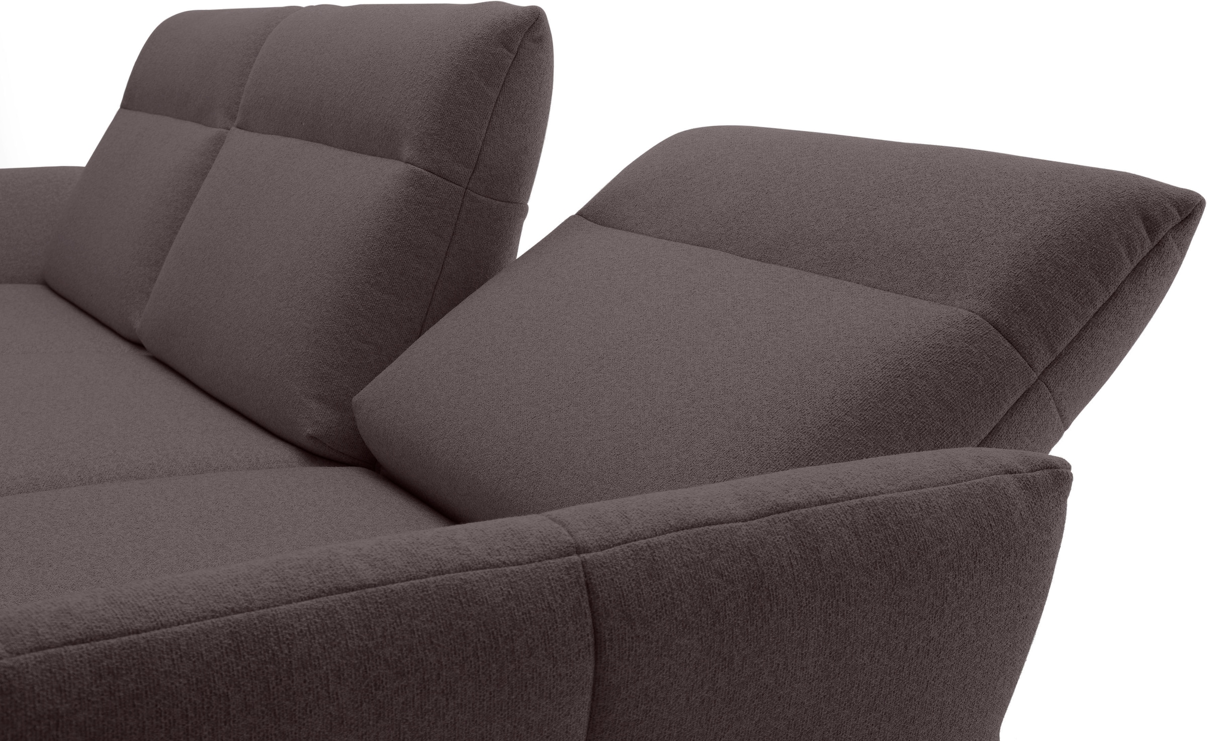 Creation BY ROLF BENZ Ecksofa »CR.460« Sockel in Eiche, Winkelfüße in Umbragrau, Breite 338 cm