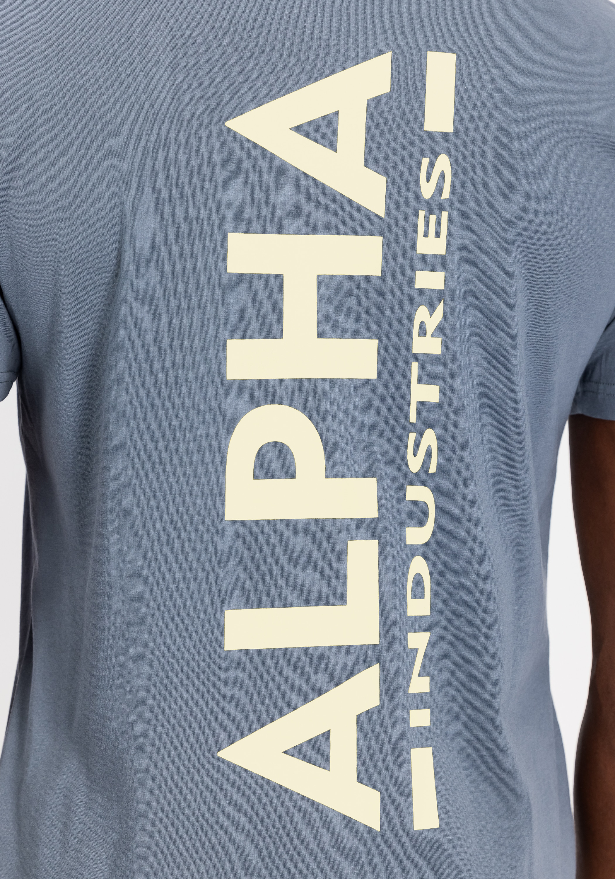 Alpha Industries T-Shirt »Backprint T-Shirt T-Shirt«