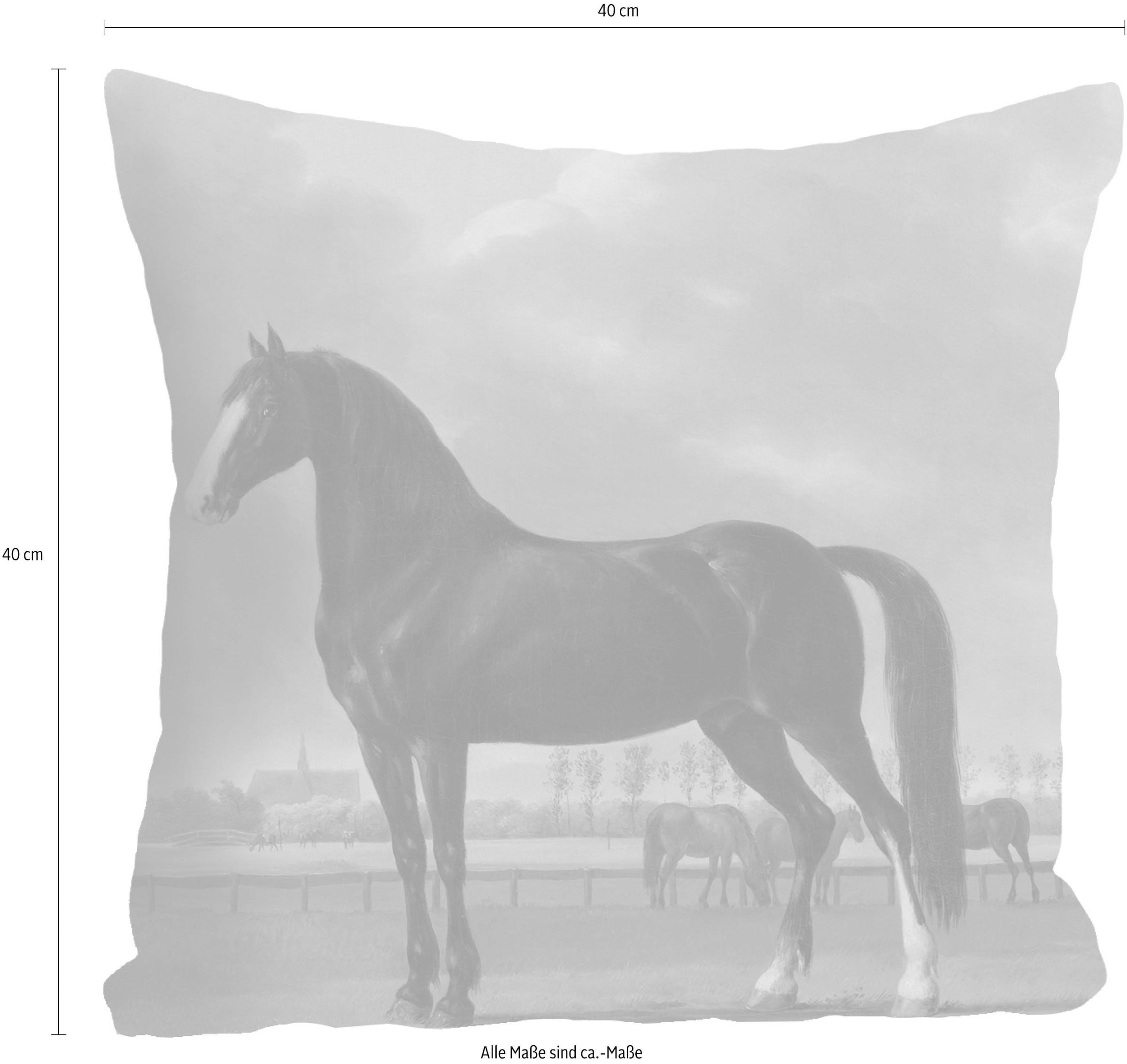 queence Dekokissen »»Pferde«« Kissenhülle ohne Füllung, 1 Stück