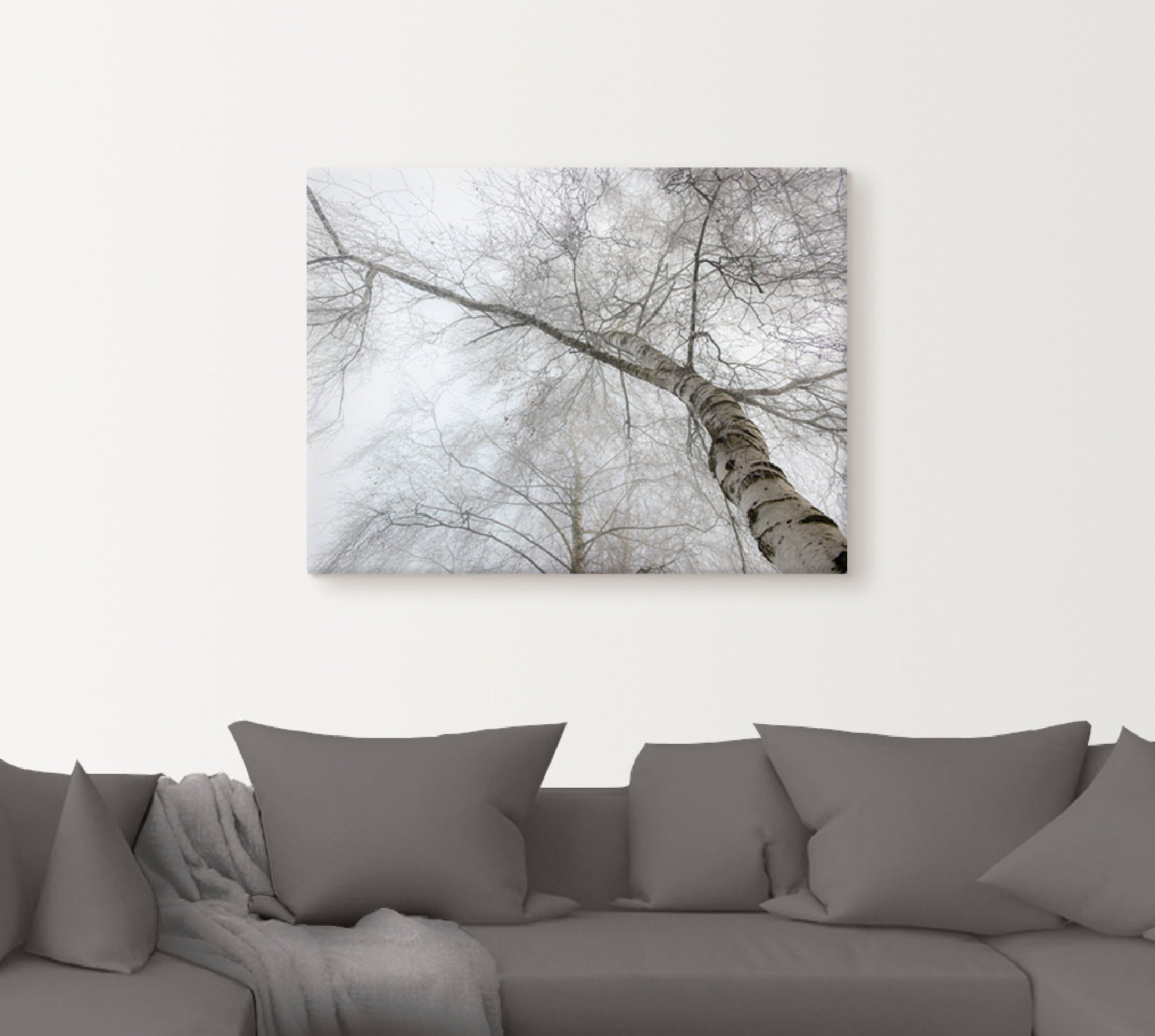 OTTO Wandbild Leinwandbild, Größen »Winter verschied. online in Birke«, bei Bäume, (1 Artland Wandaufkleber St.), als bestellen