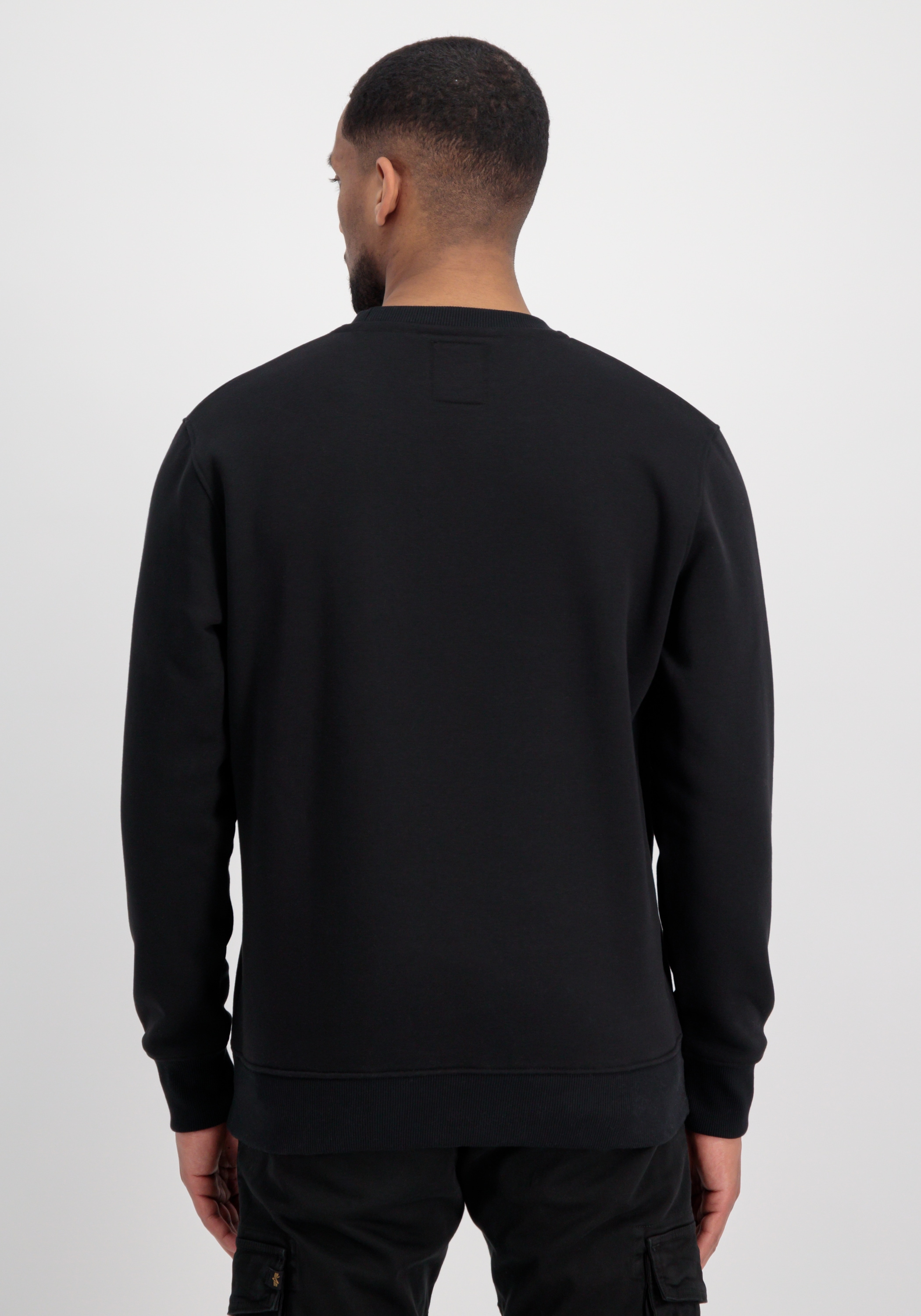 Alpha Industries Sweater »Basic Sweatshirt Rubber ML«
