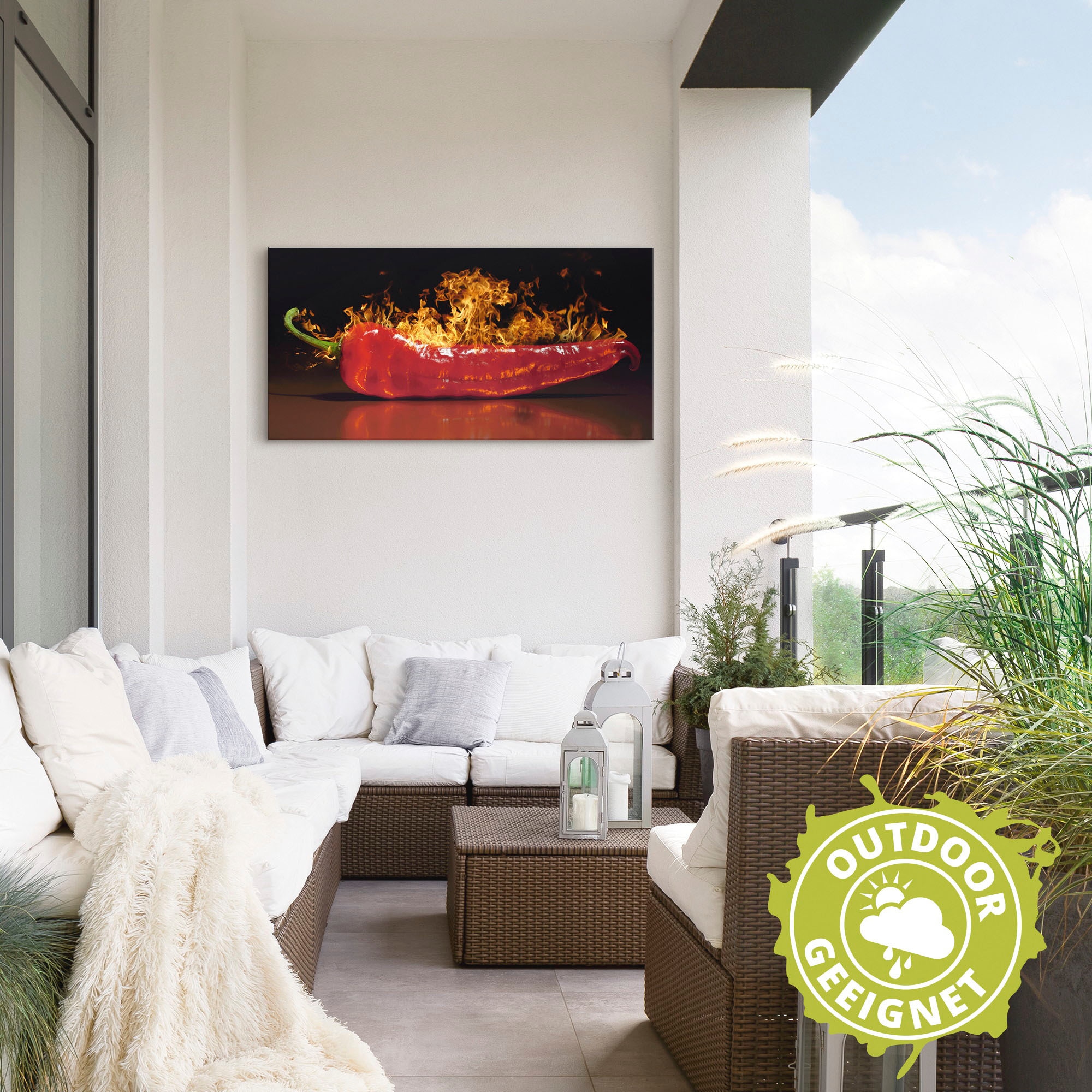 Artland Wandbild »Roter scharfer Chilipfeffer« Lebensmittel 1 Stk. tlg. als Alubild, Leinwandbild in verschied. Größen